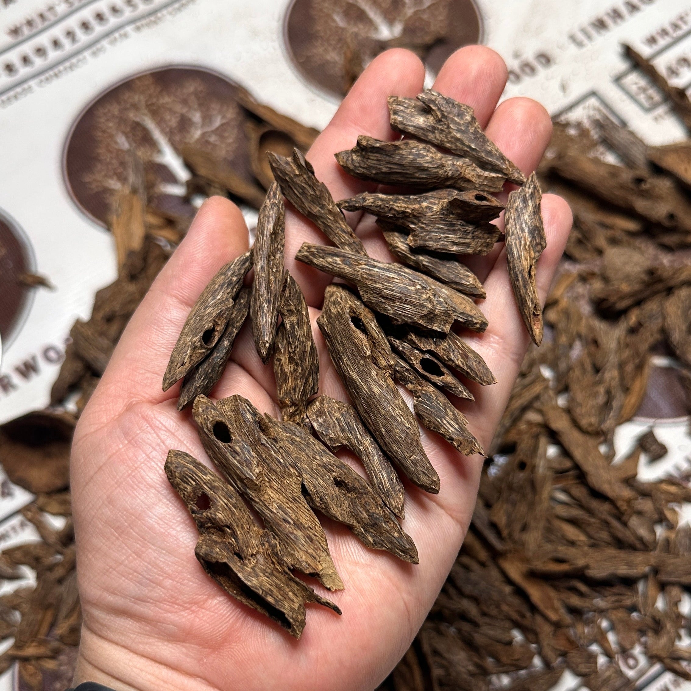 Brunei Oud Ant HIgh Quality Underwater Rarities