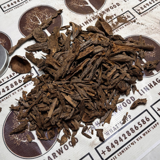 Brunei Oud Ant HIgh Quality Underwater Rarities