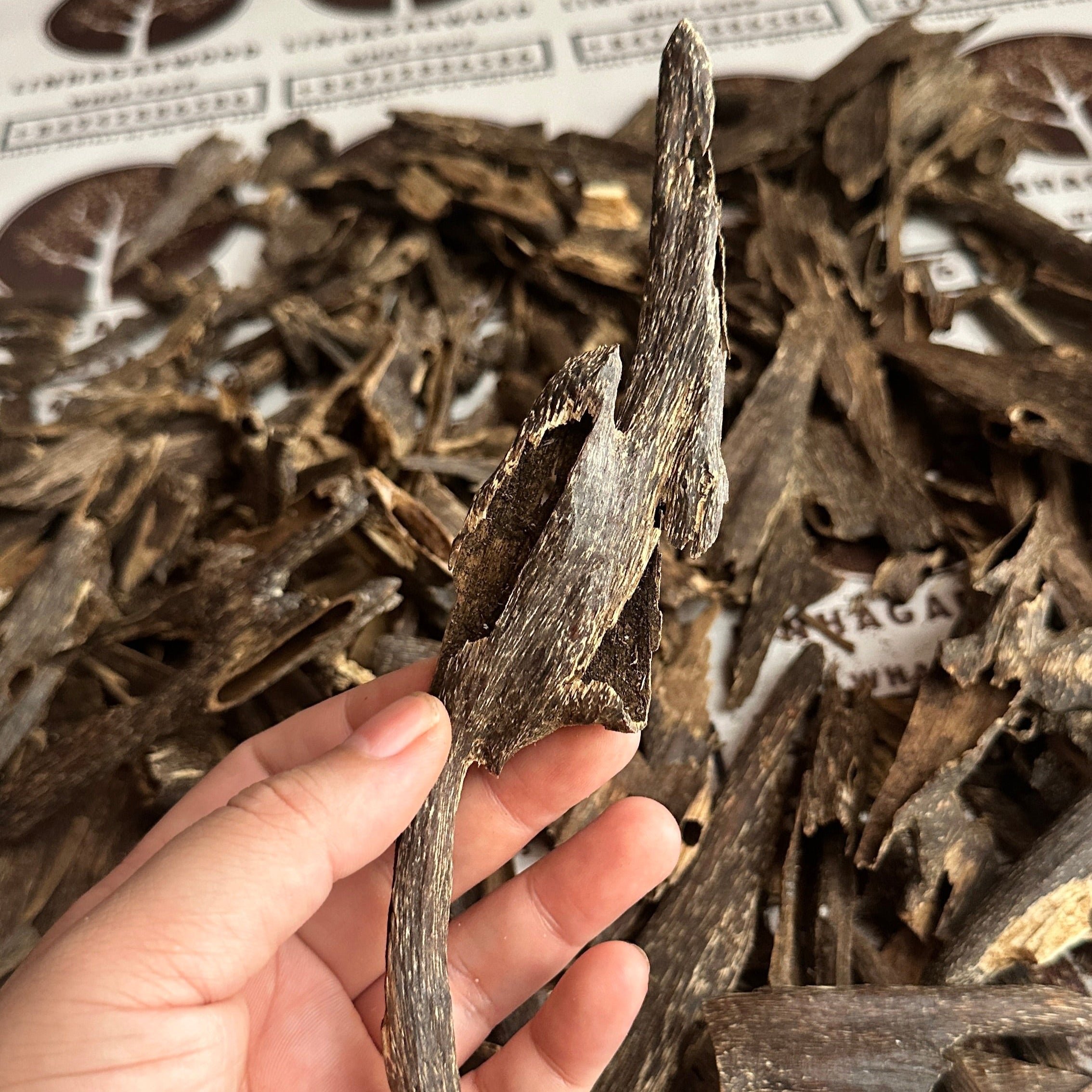 Chinese Ant Soufi Hainan VIP Grade