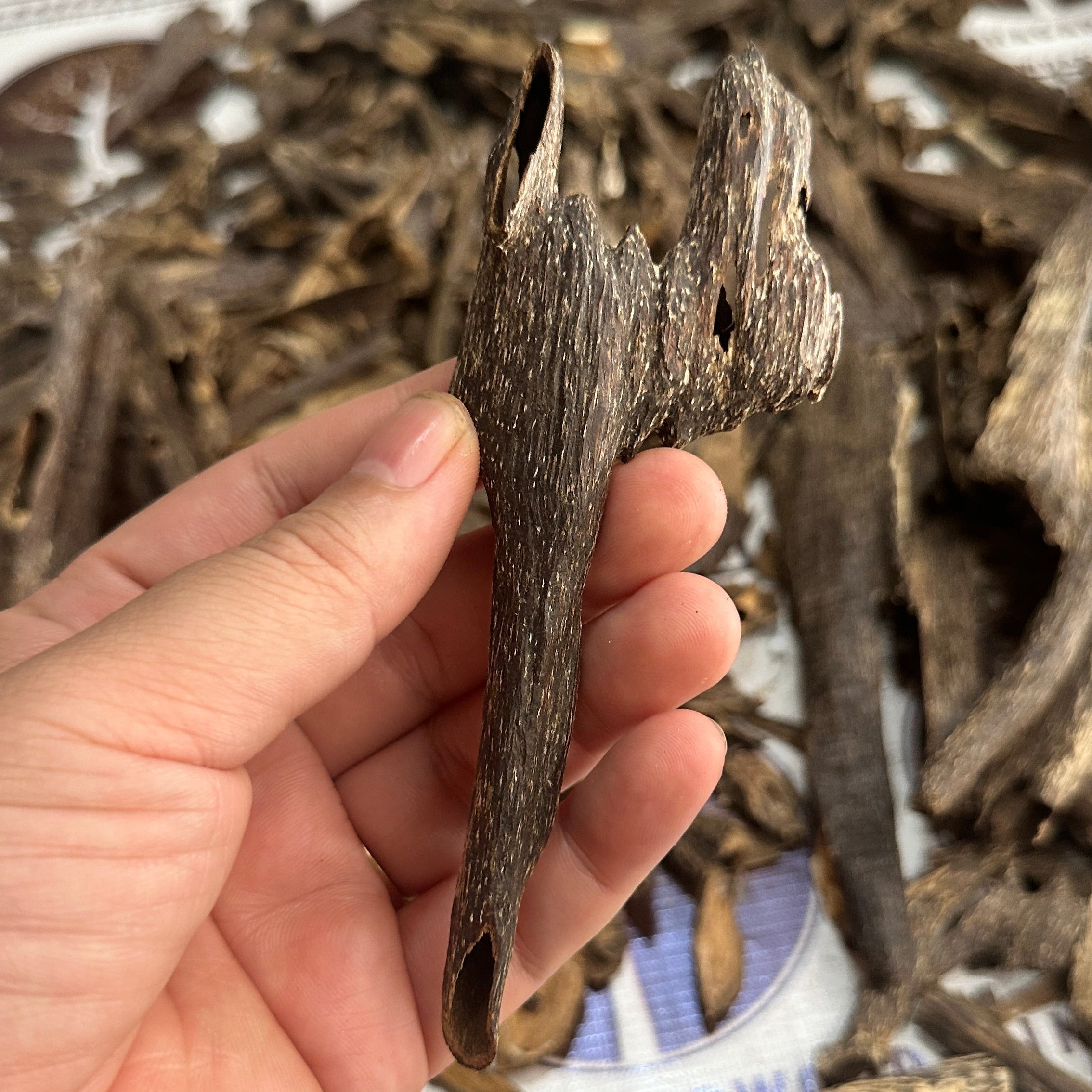 Chinese Ant Soufi Hainan VIP Grade