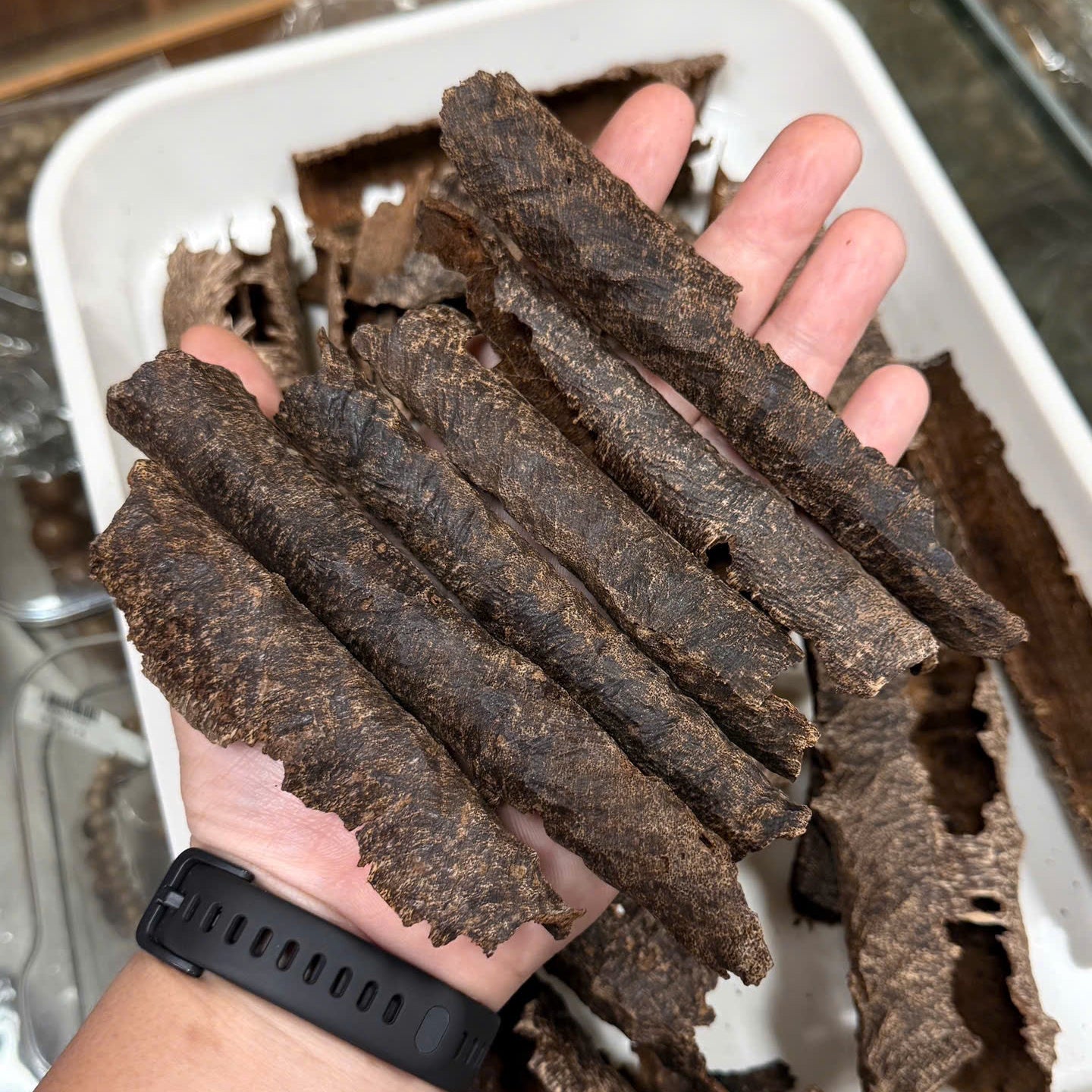 Chinese Conrer Hainan Underwater VIP Grade