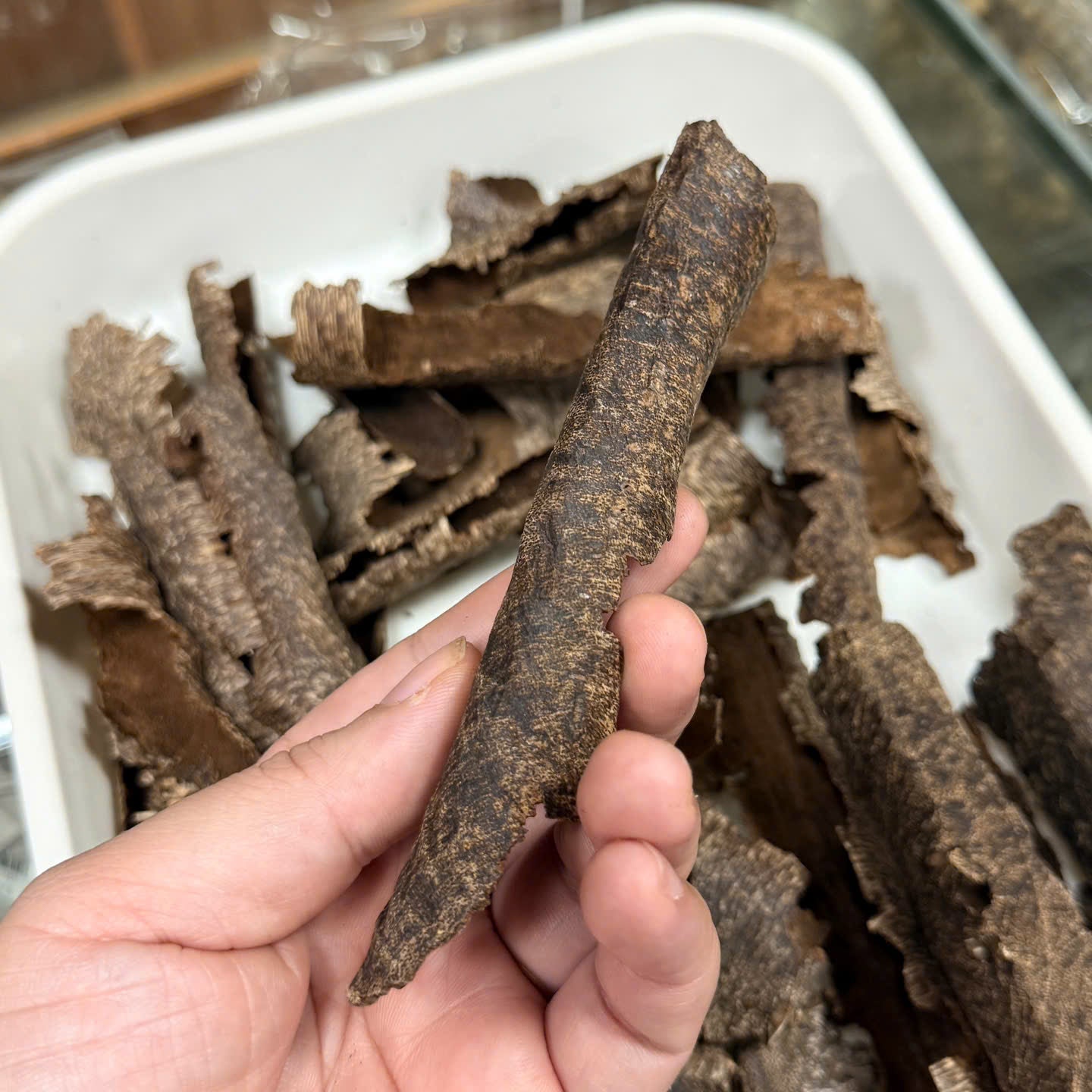 Chinese Conrer Hainan Underwater VIP Grade