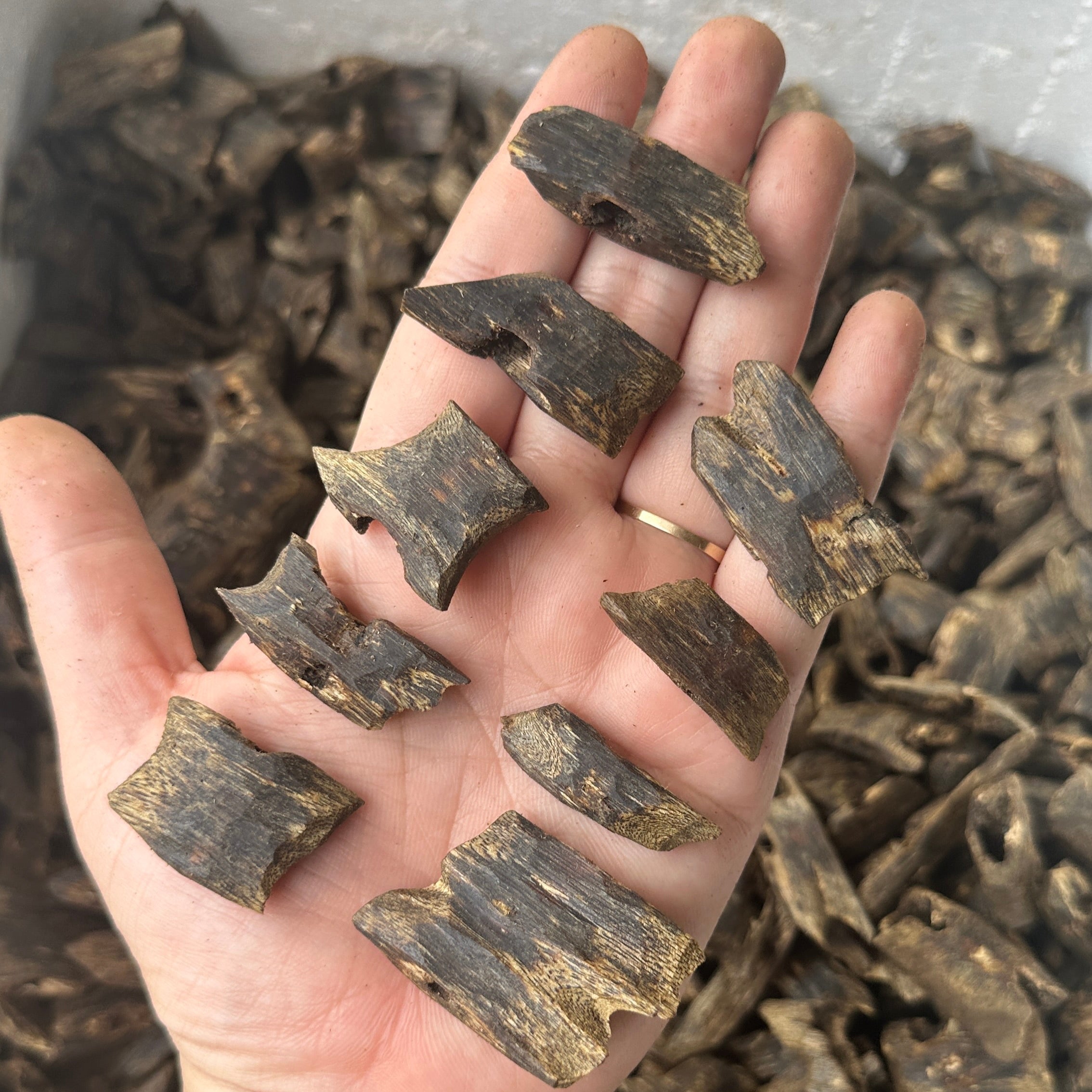 Chinese Oud Kinam Corner High Quality