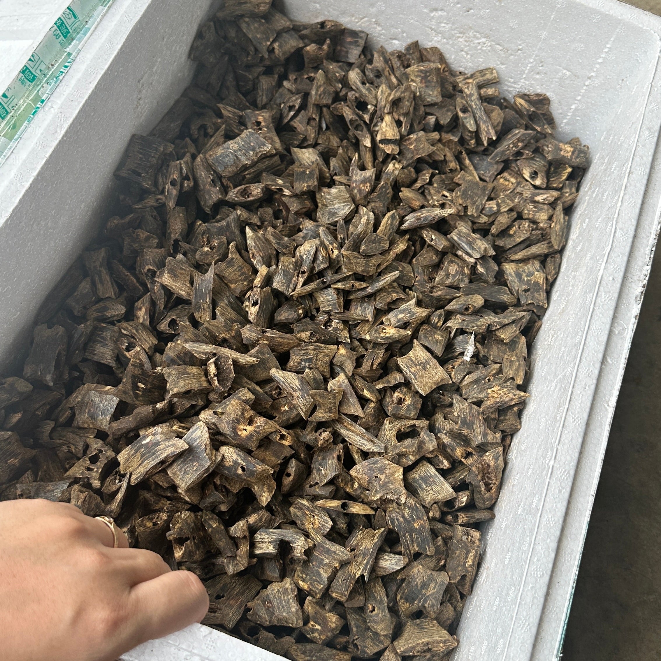 Chinese Oud Kinam Corner High Quality