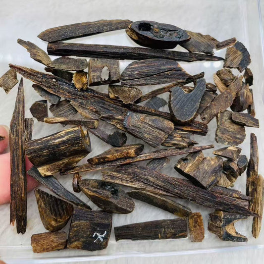 Philippins Oud Leyte VIP Quality Underwater Rarities