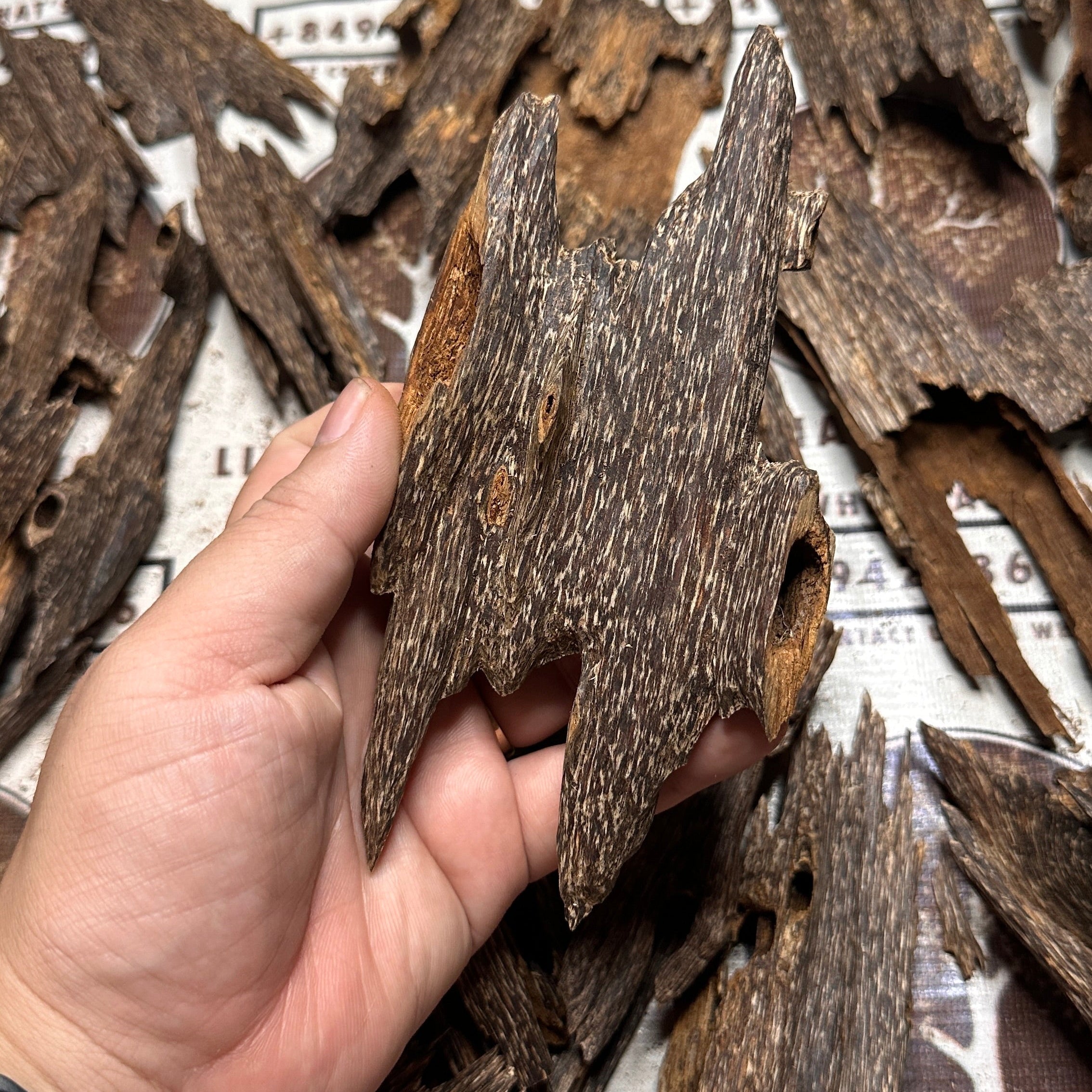 Vietnamese Oud Ant Soufi Rarities VIP Grade