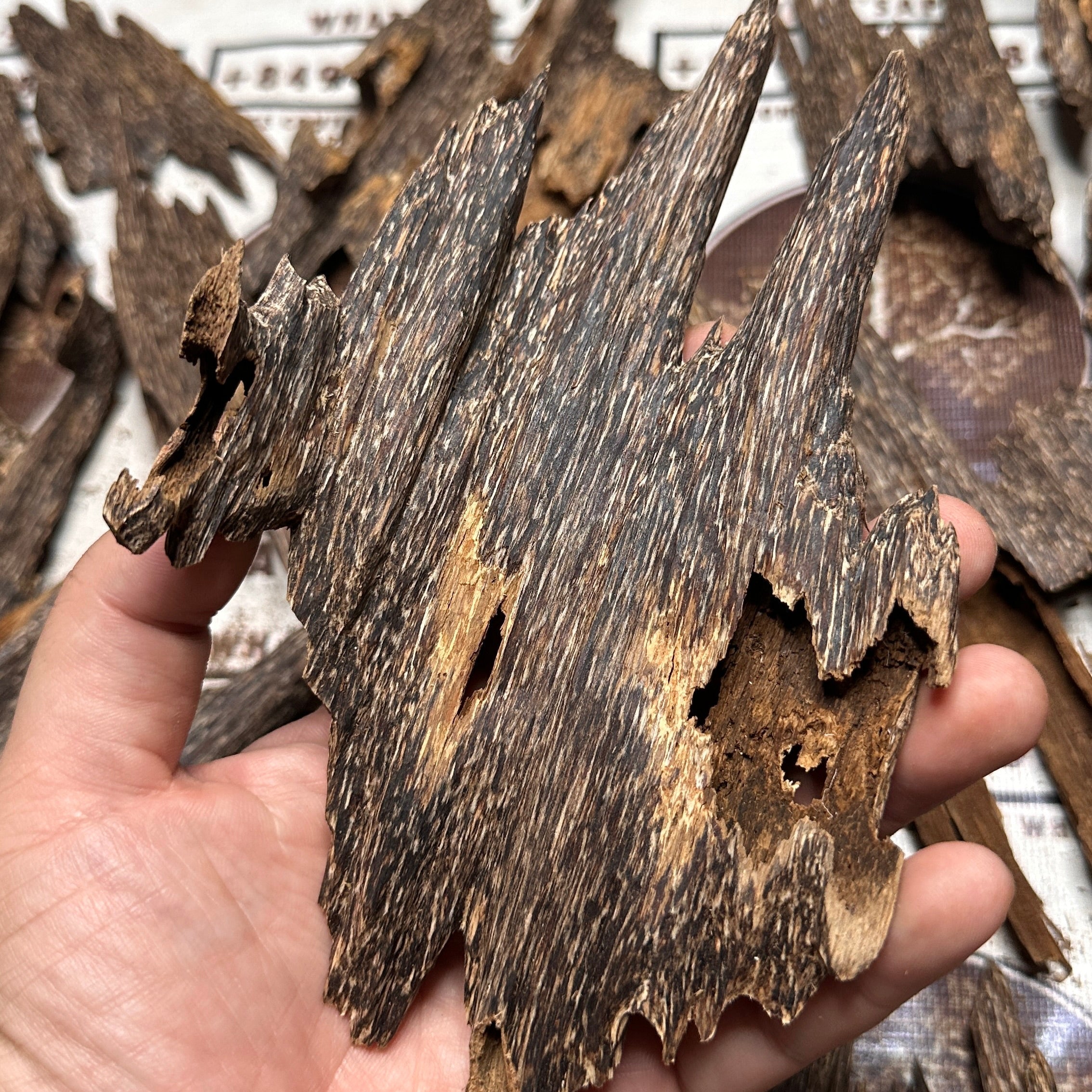 Vietnamese Oud Ant Soufi Rarities VIP Grade