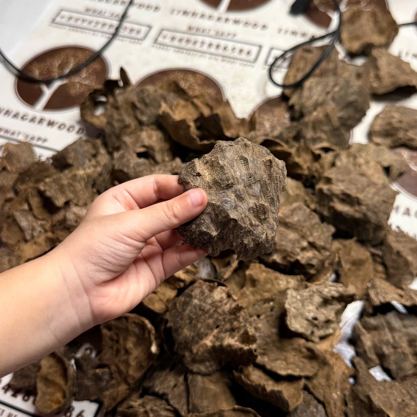 Vietnamese Oud Char Double Super Premium Grade