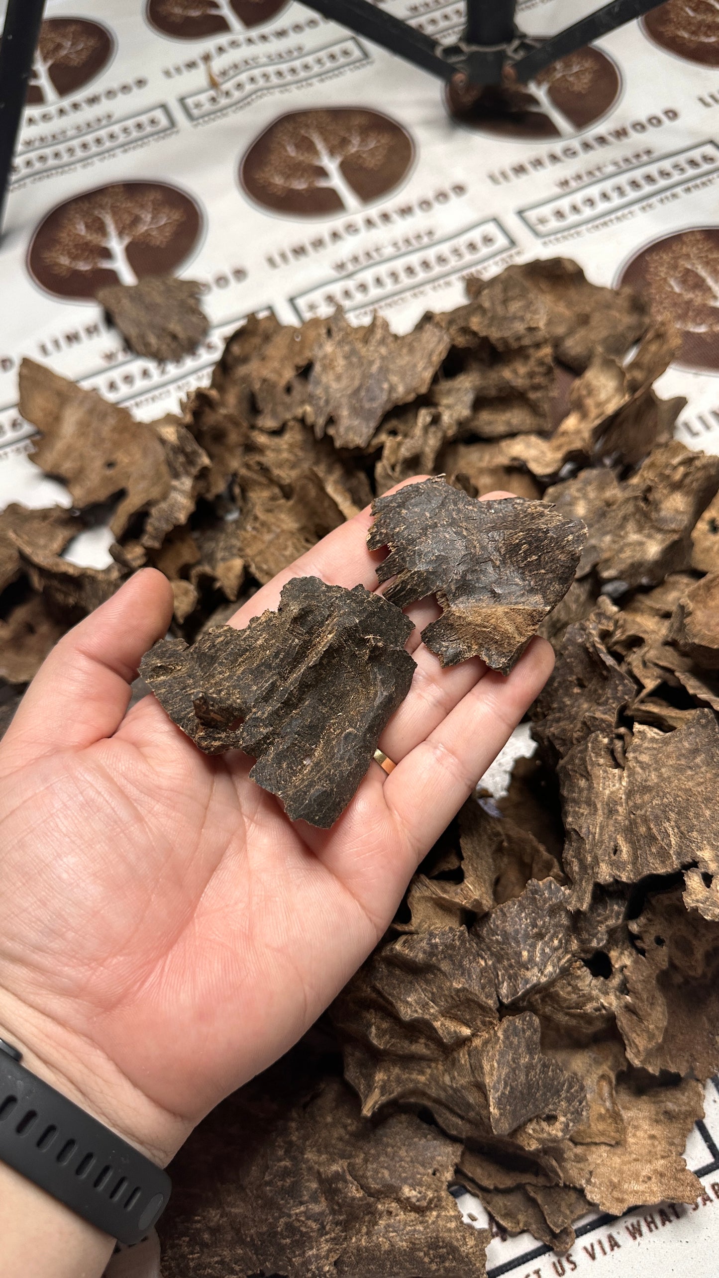 Vietnamese Oud Char Rarities High Grade