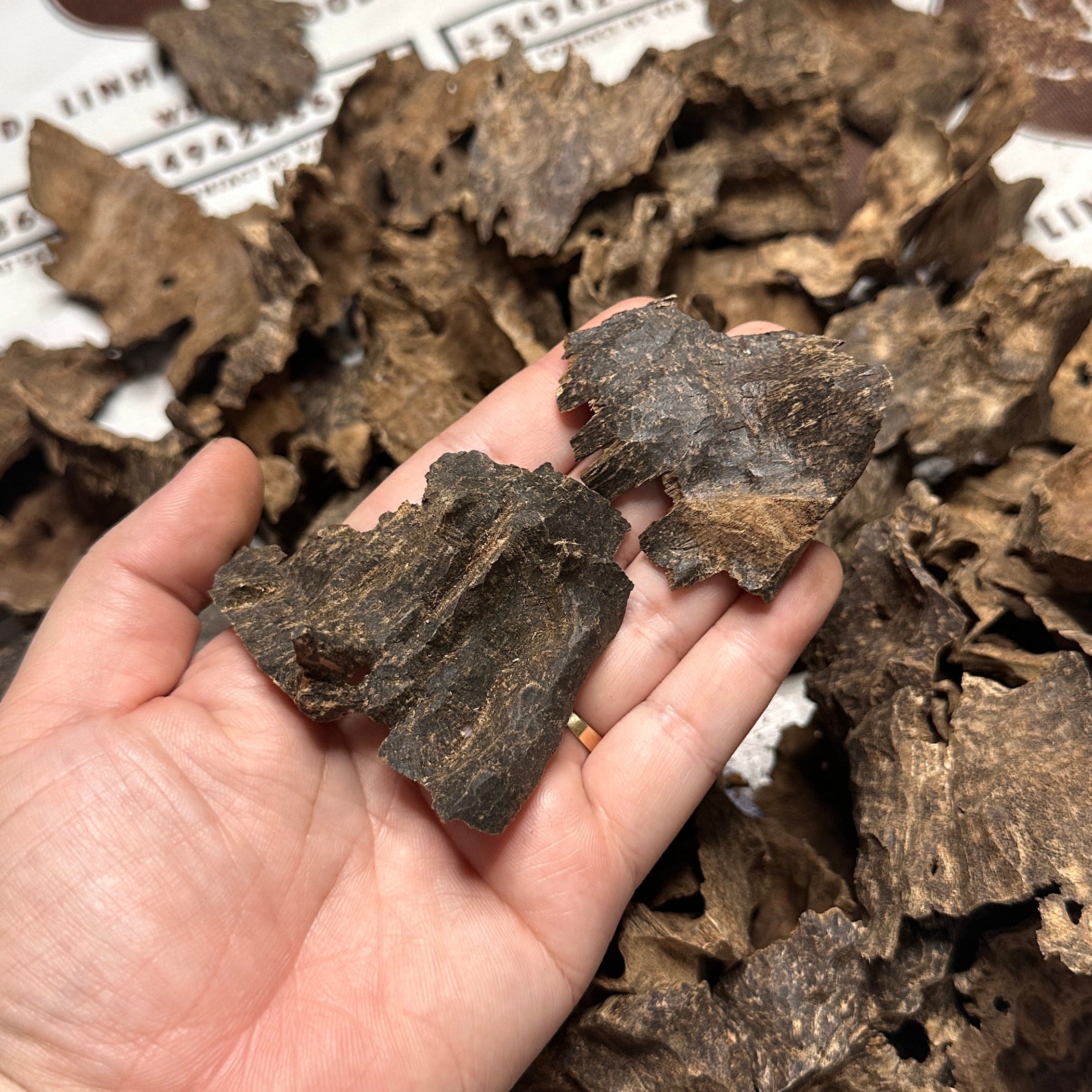 Vietnamese Oud Char Rarities High Grade