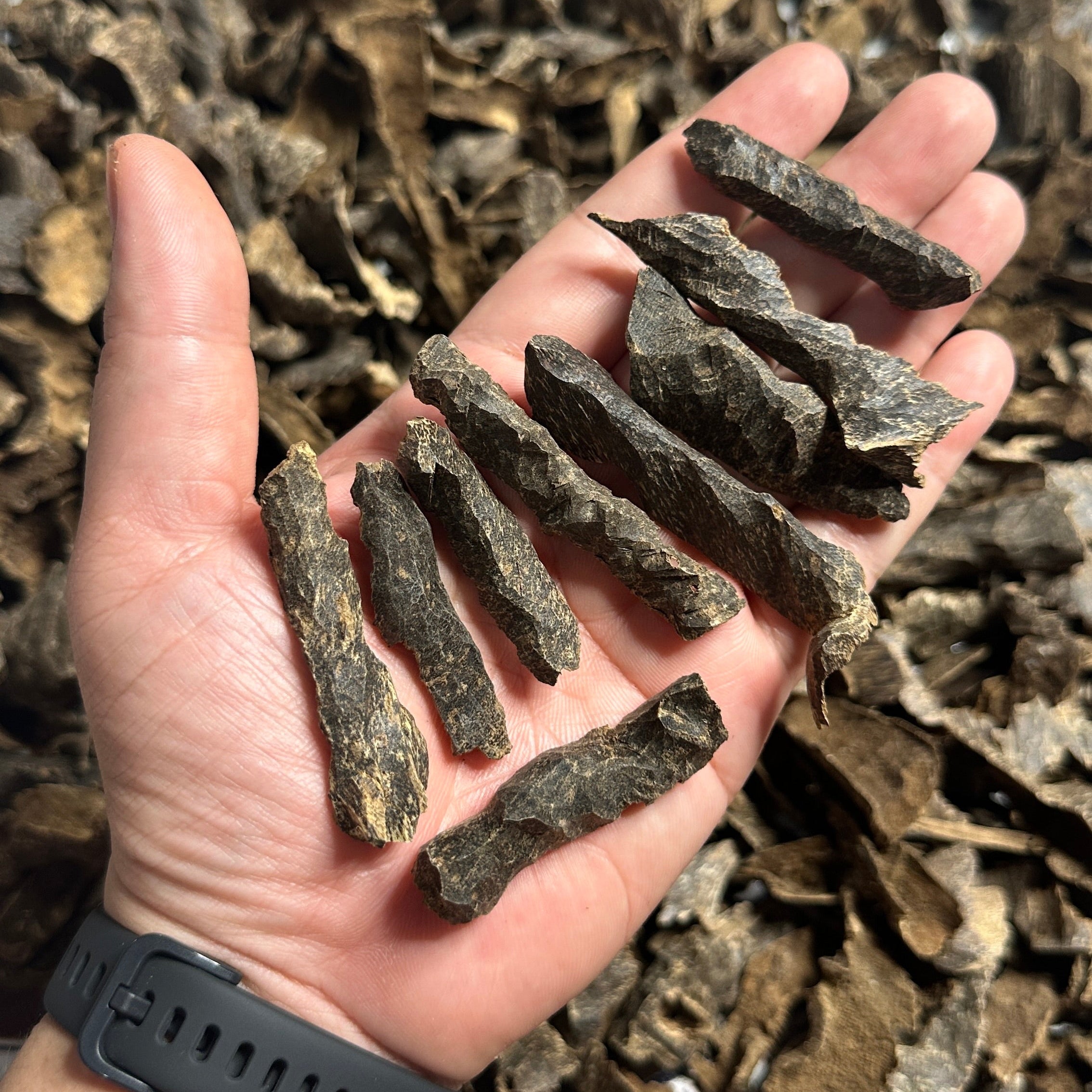 Vietnamese Oud Corner Zawaya Rarities VIP Grade