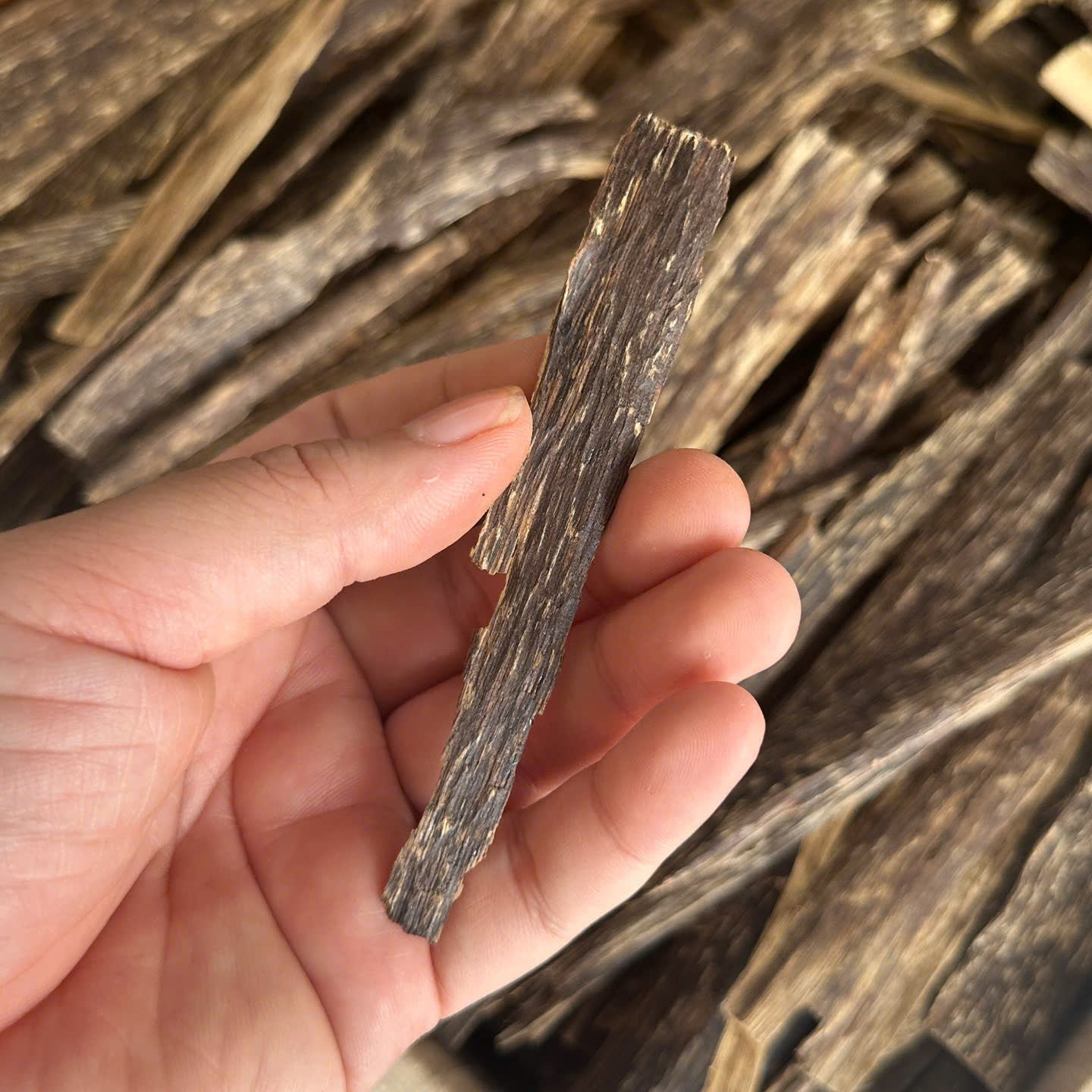 China Oud Flat High Quality 5A