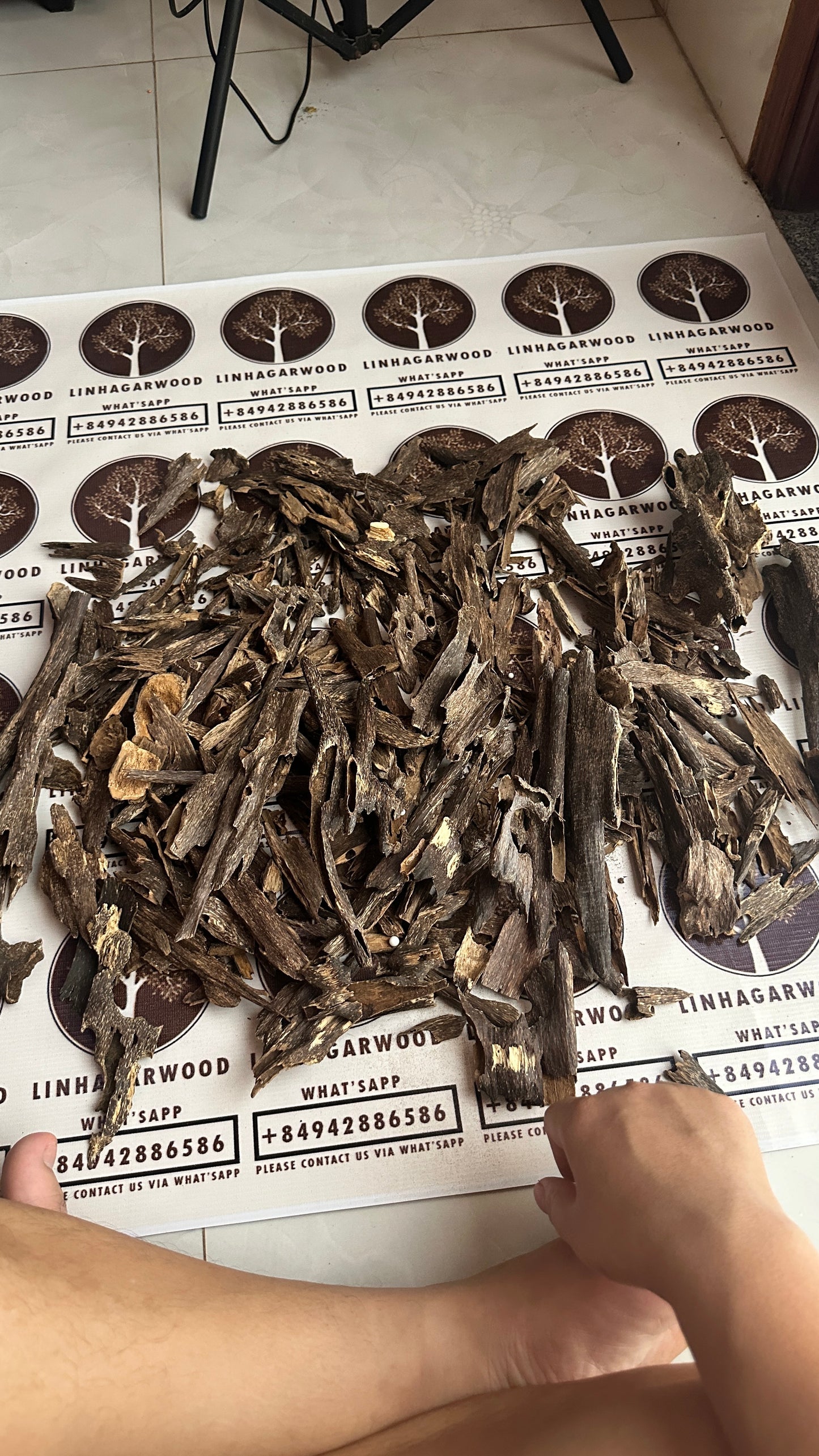 Chinese Ant Soufi Hainan VIP Grade