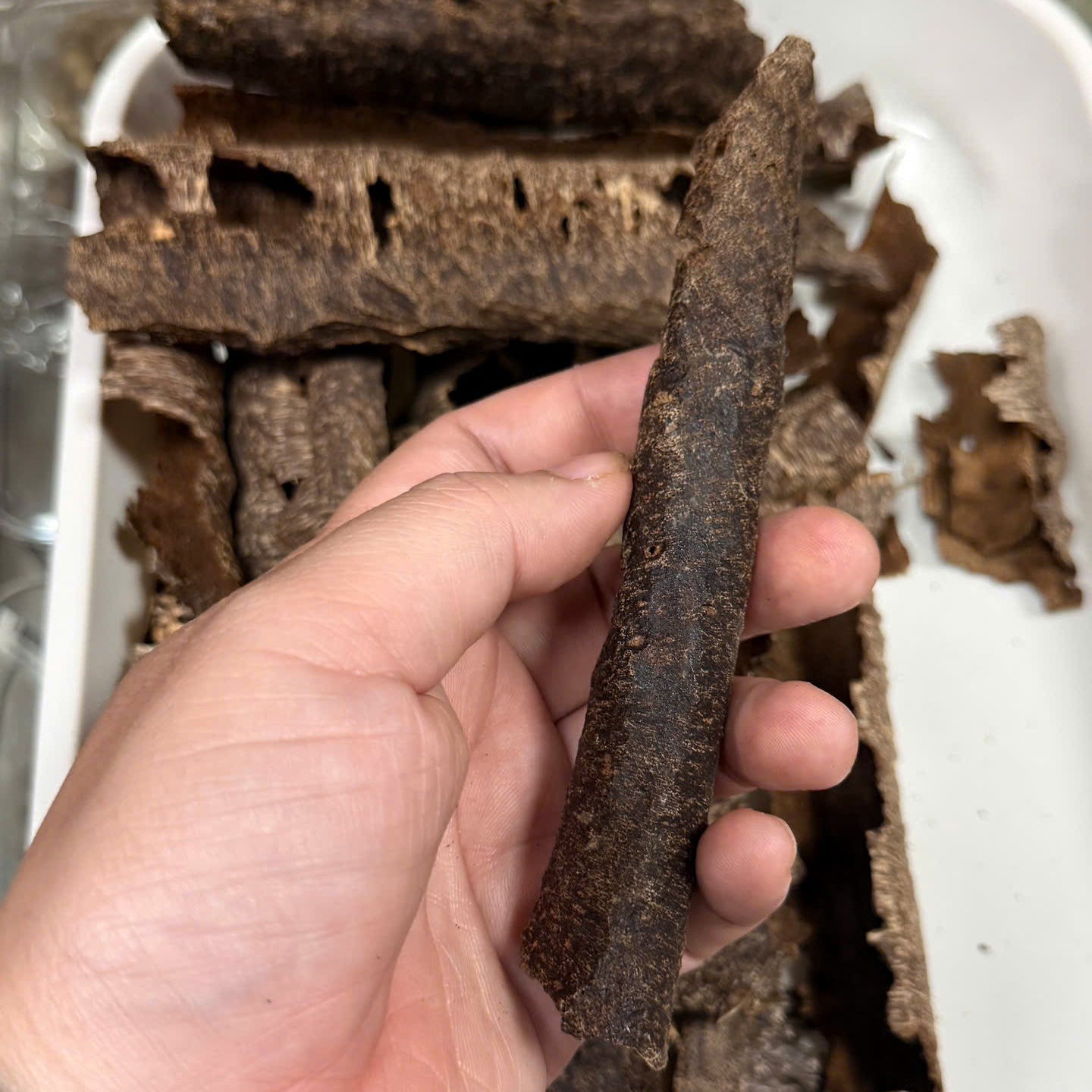 Chinese Conrer Hainan Underwater VIP Grade