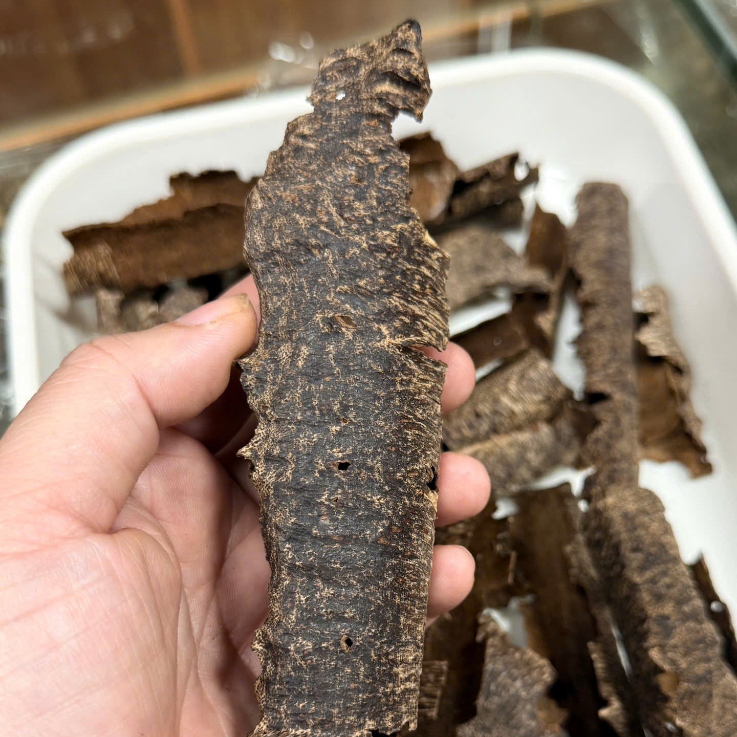 Chinese Conrer Hainan Underwater VIP Grade