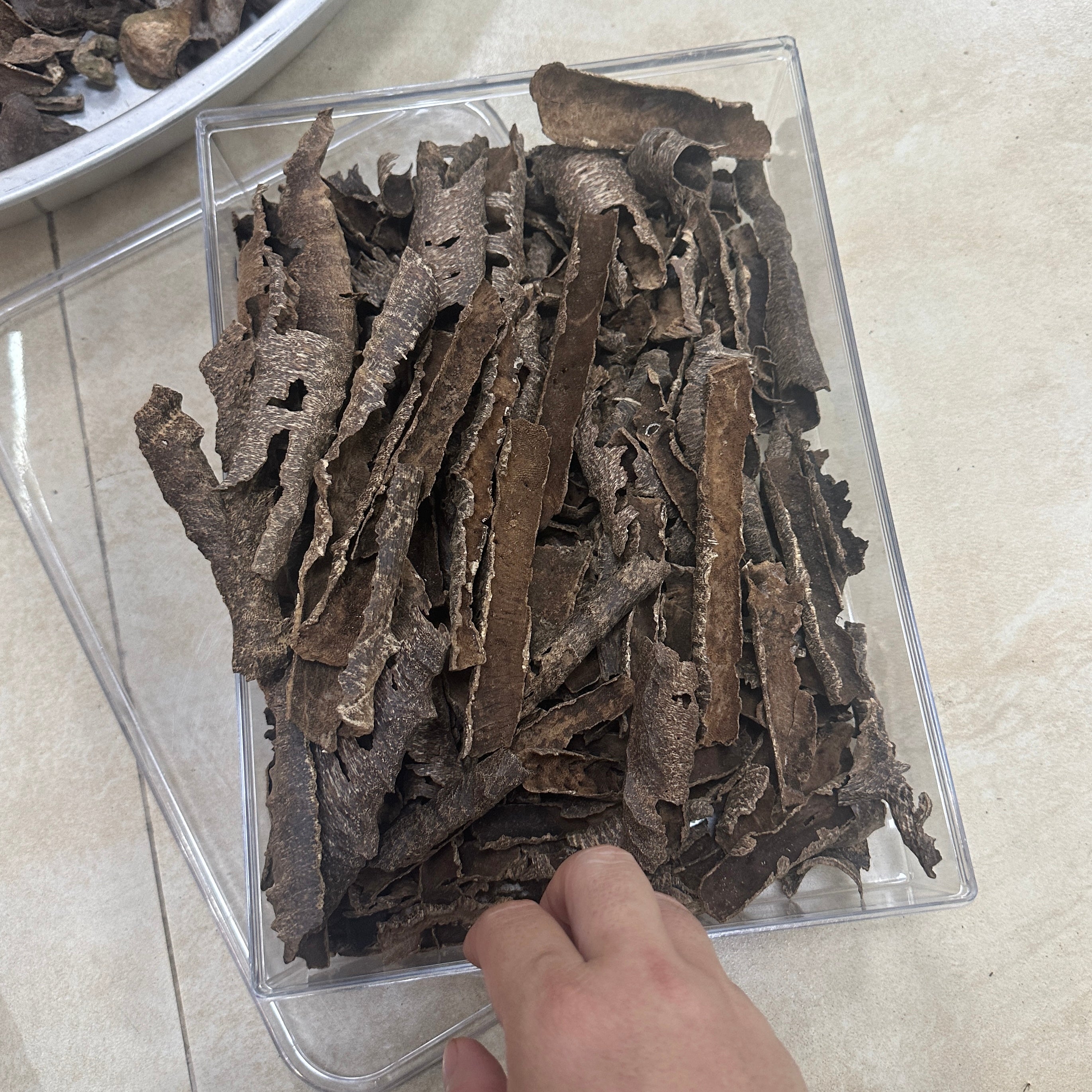 Chinese Conrer Hainan Underwater VIP Grade