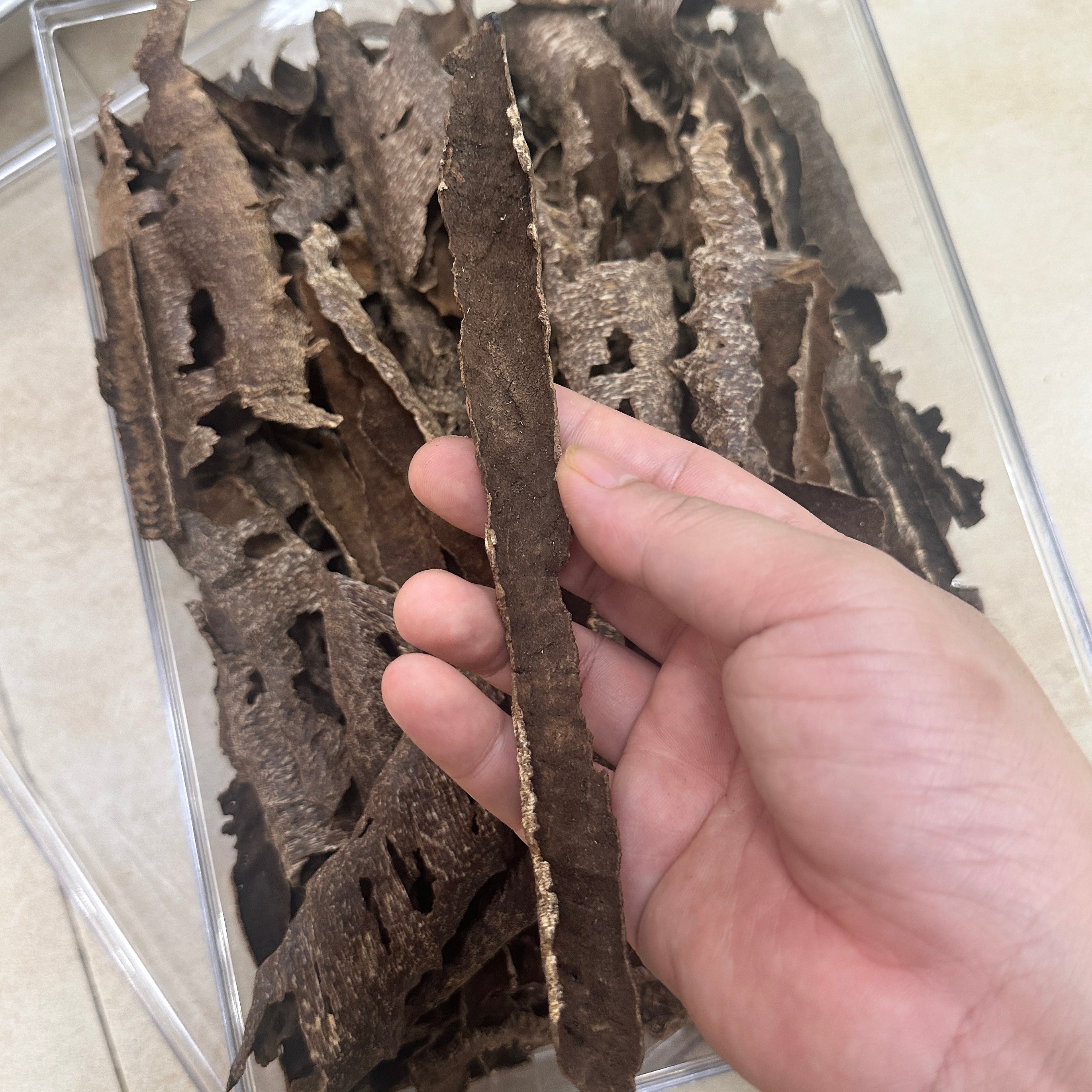 Chinese Conrer Hainan Underwater VIP Grade