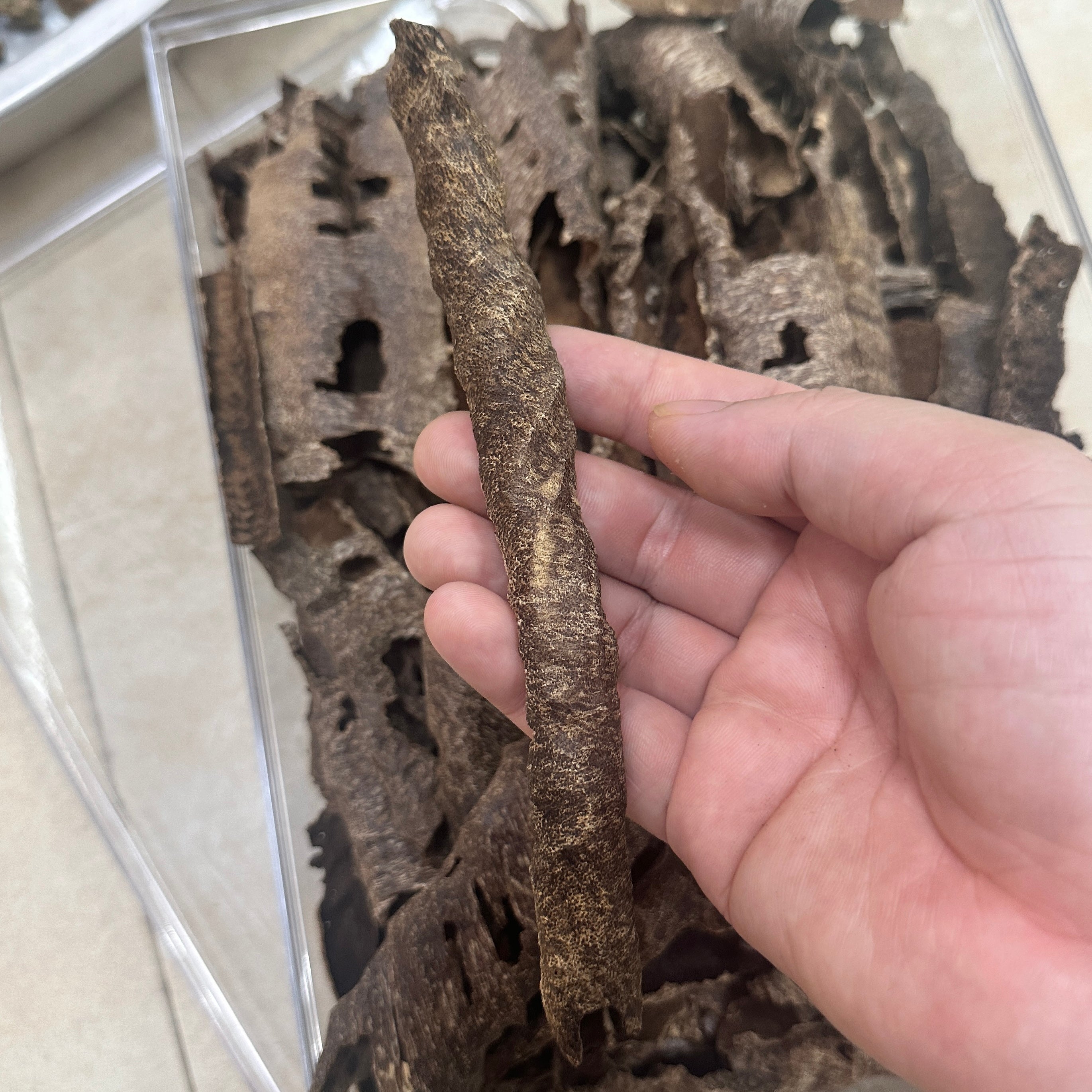 Chinese Conrer Hainan Underwater VIP Grade