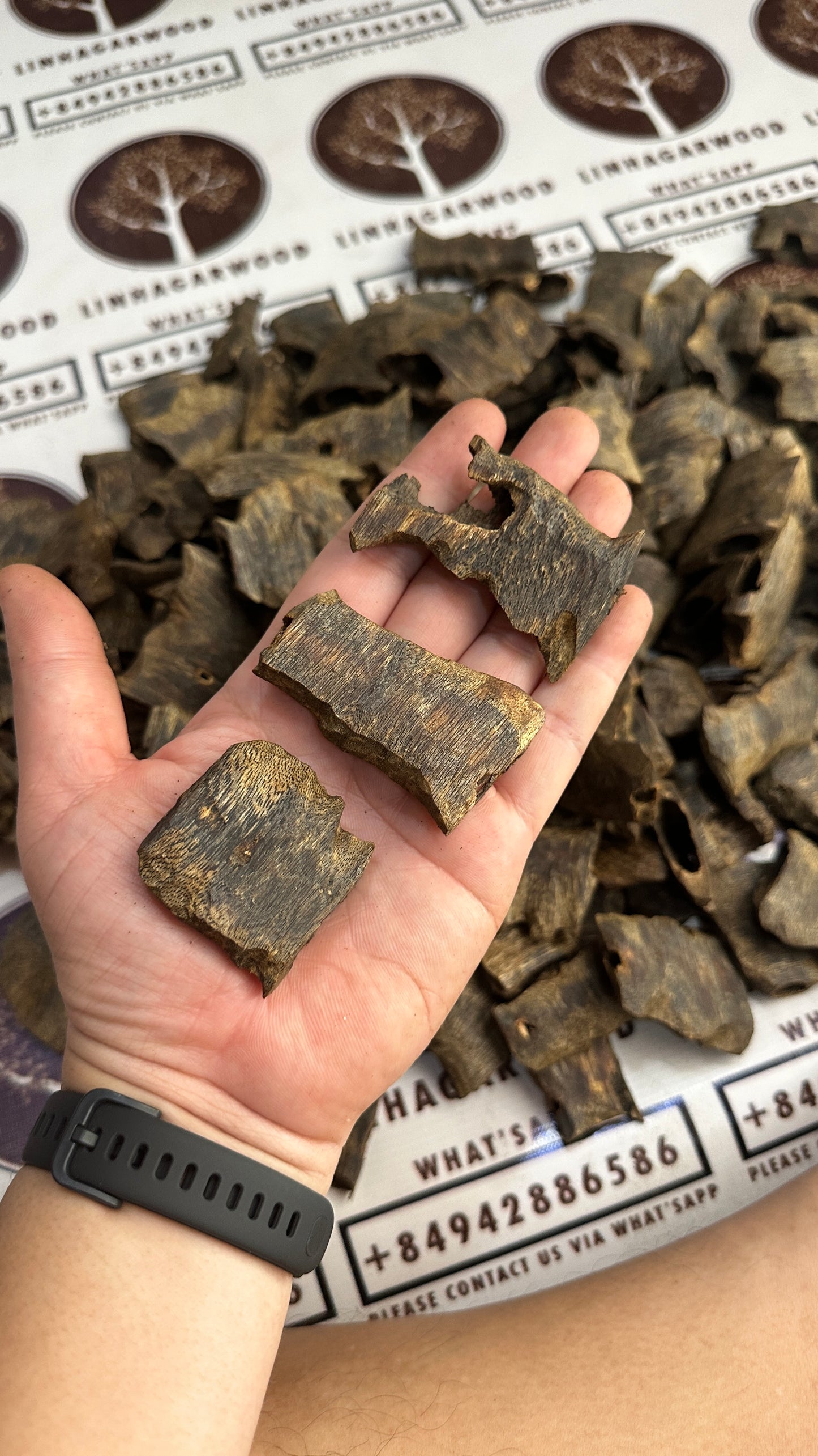 Chinese Oud Kinam Corner High Quality