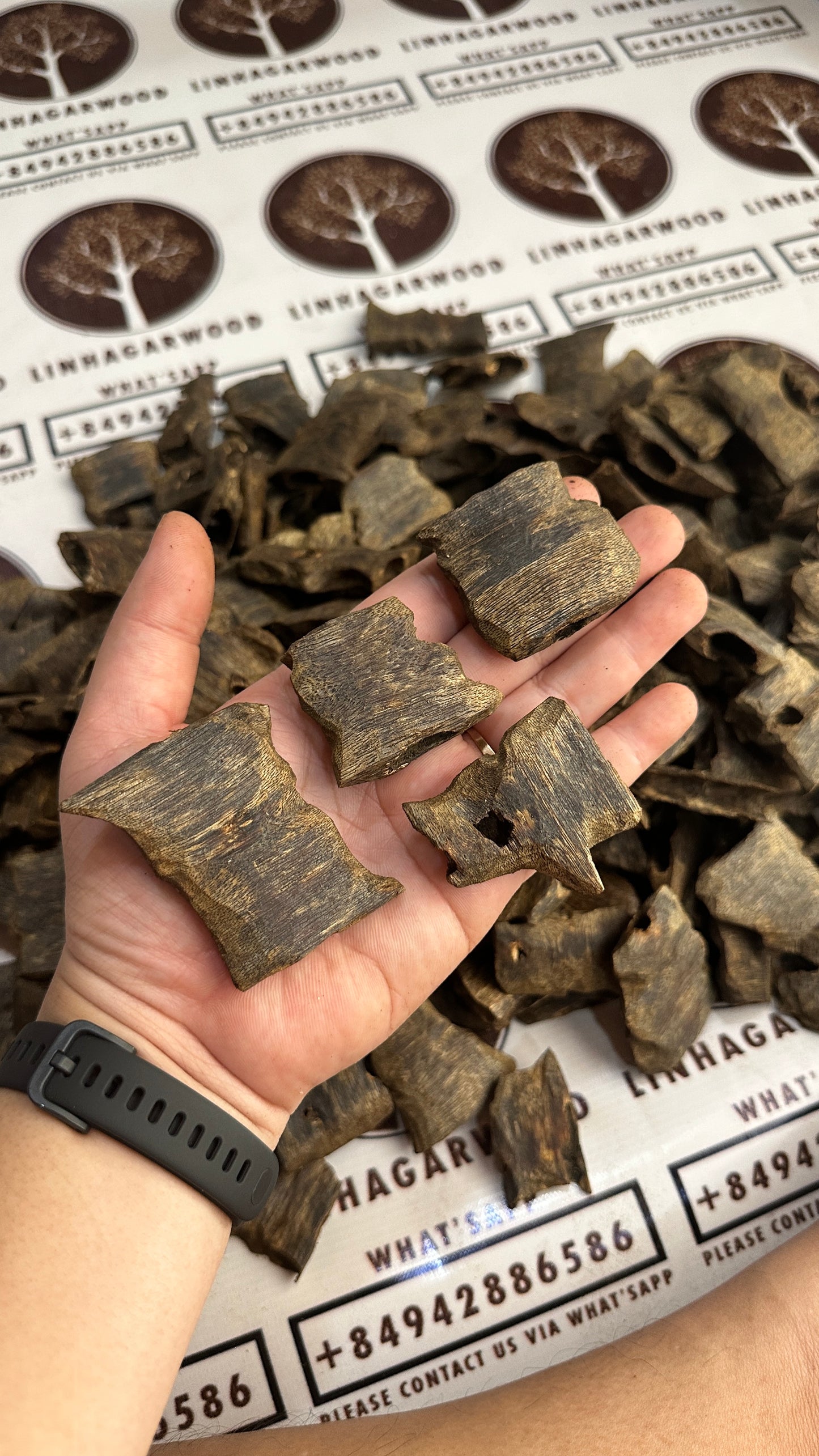 Chinese Oud Kinam Corner High Quality