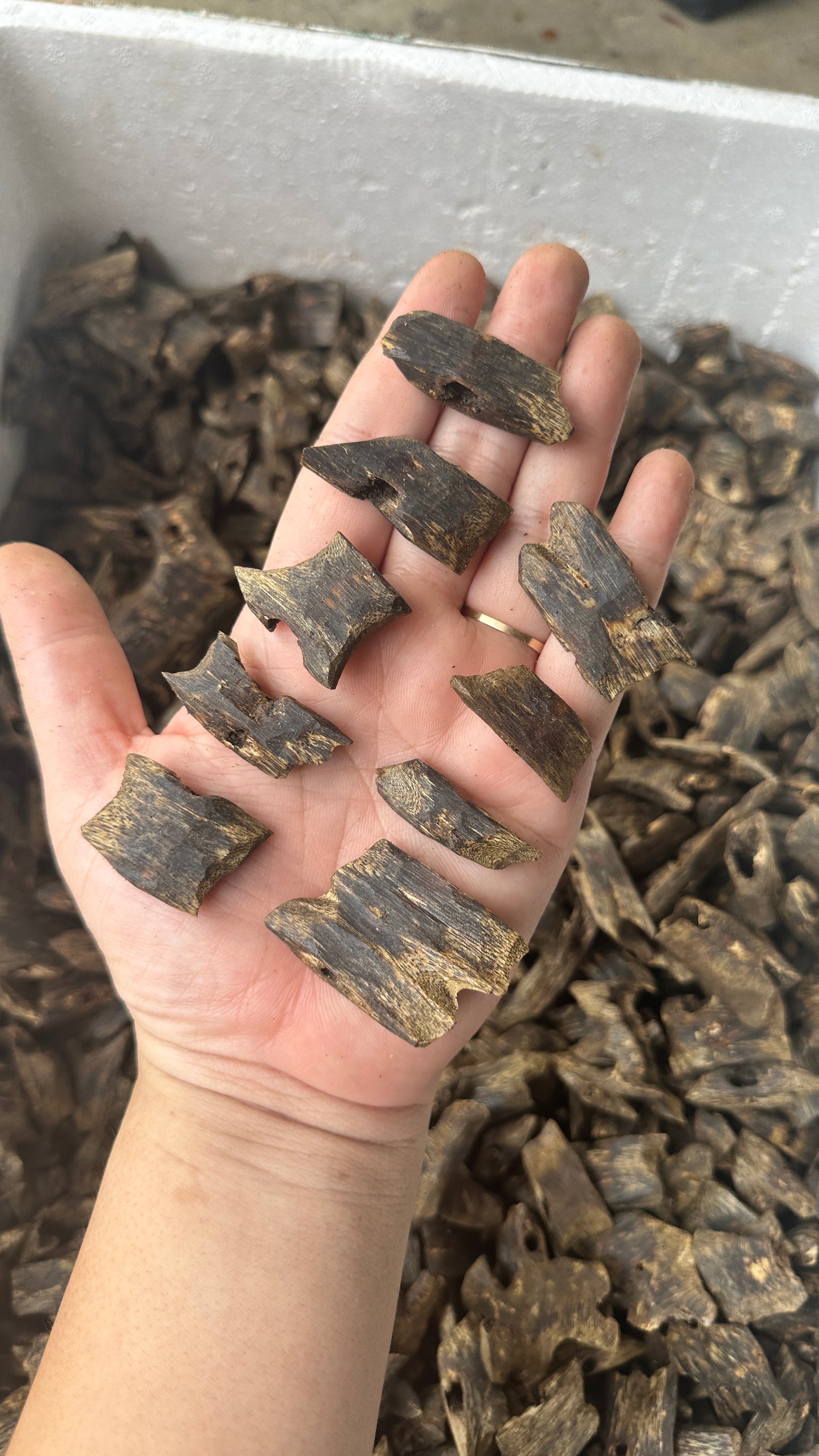Chinese Oud Kinam Corner High Quality