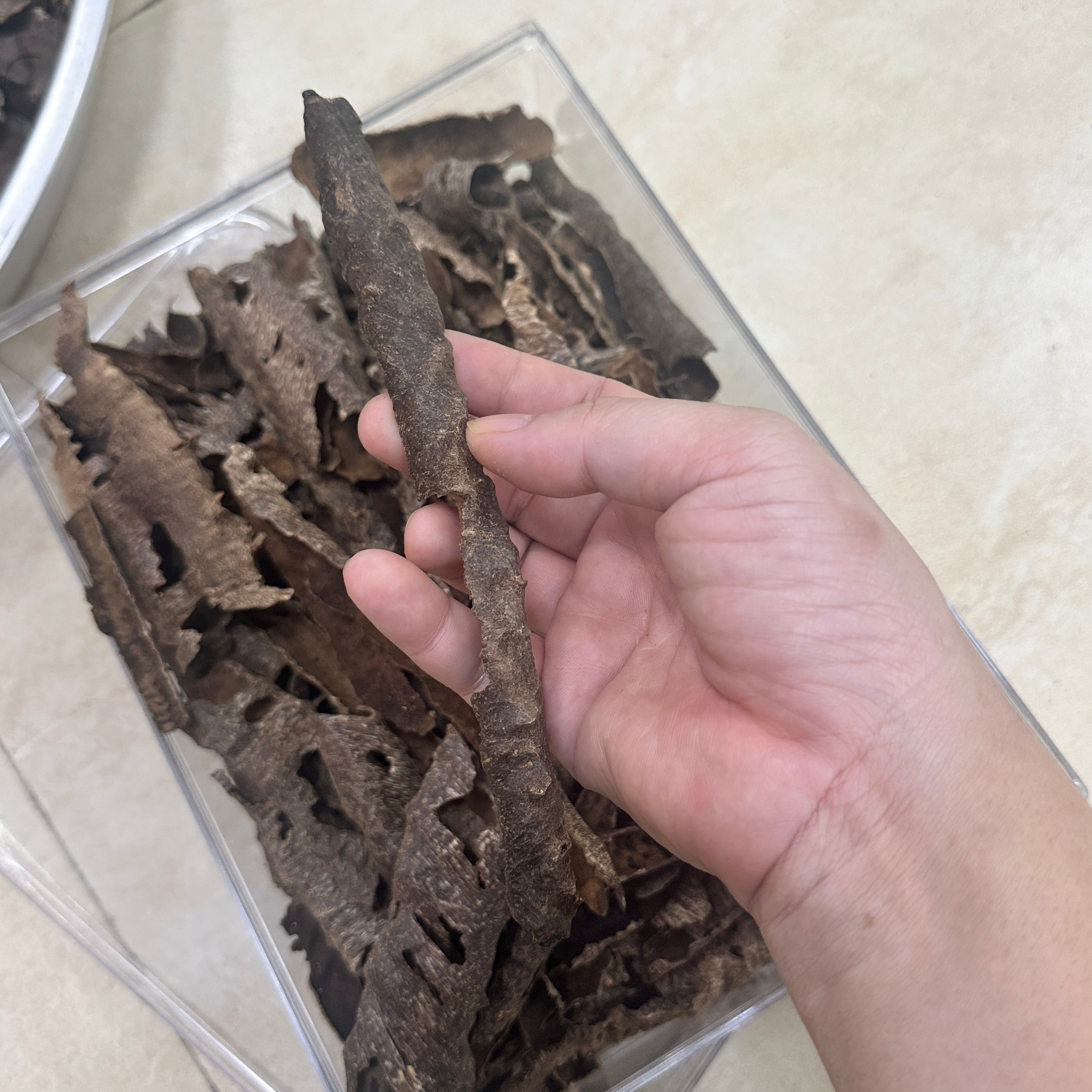 Chinese Conrer Hainan Underwater VIP Grade