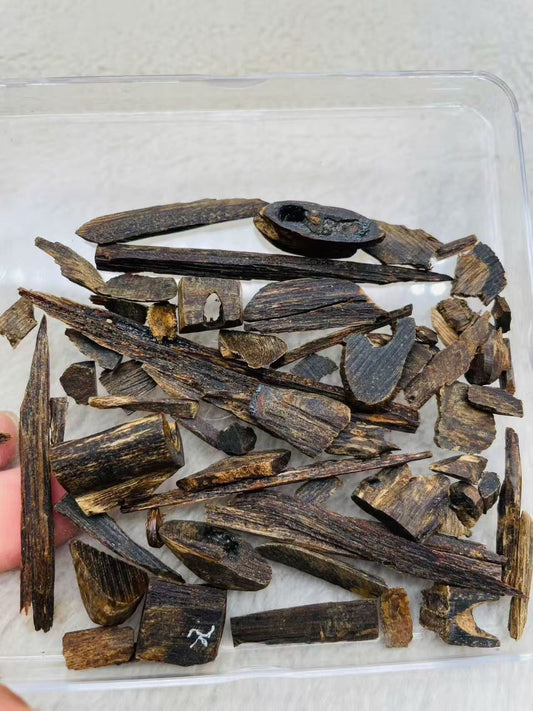 Philippins Oud Leyte VIP Quality Underwater Rarities