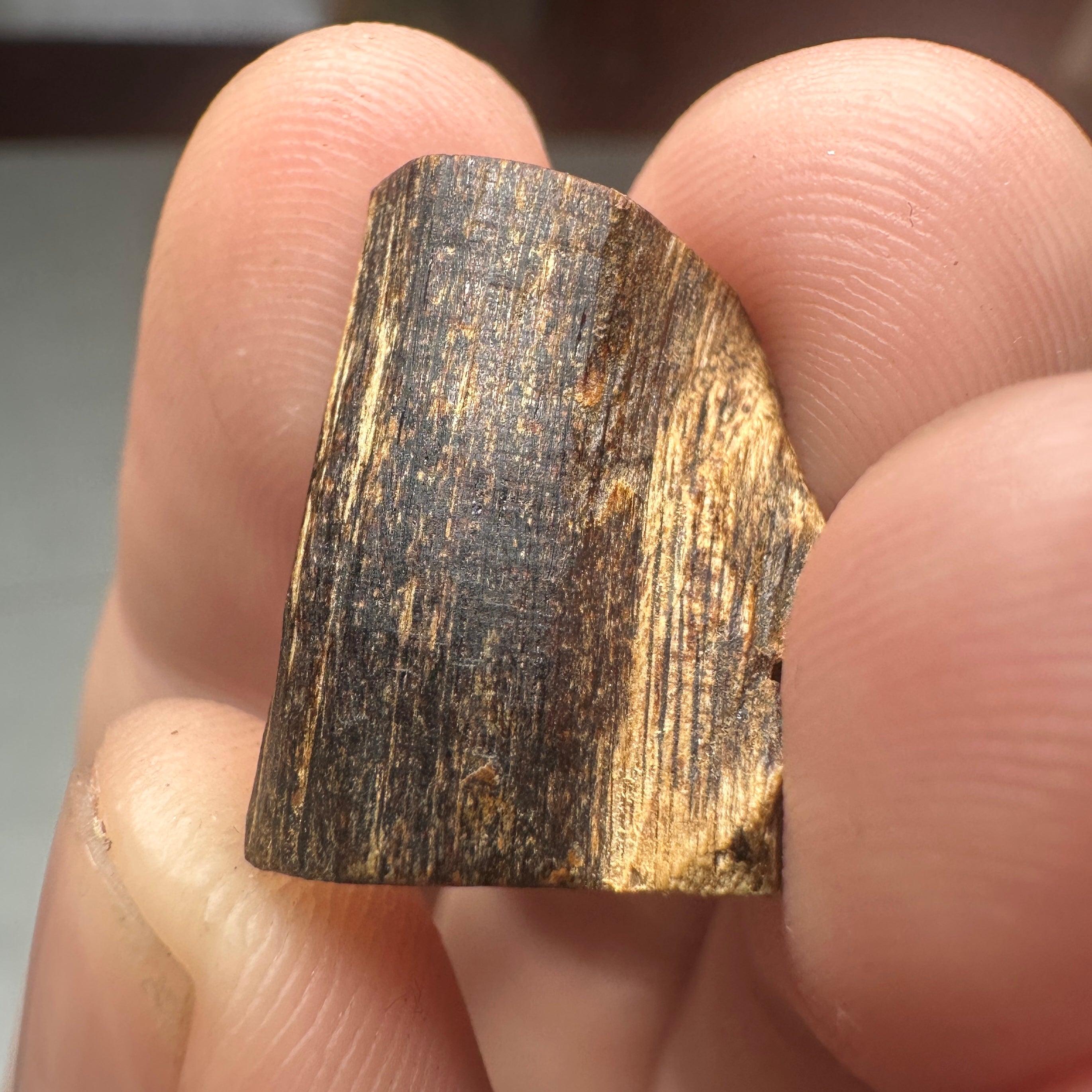 Philippins Oud Leyte VIP Quality Underwater Rarities