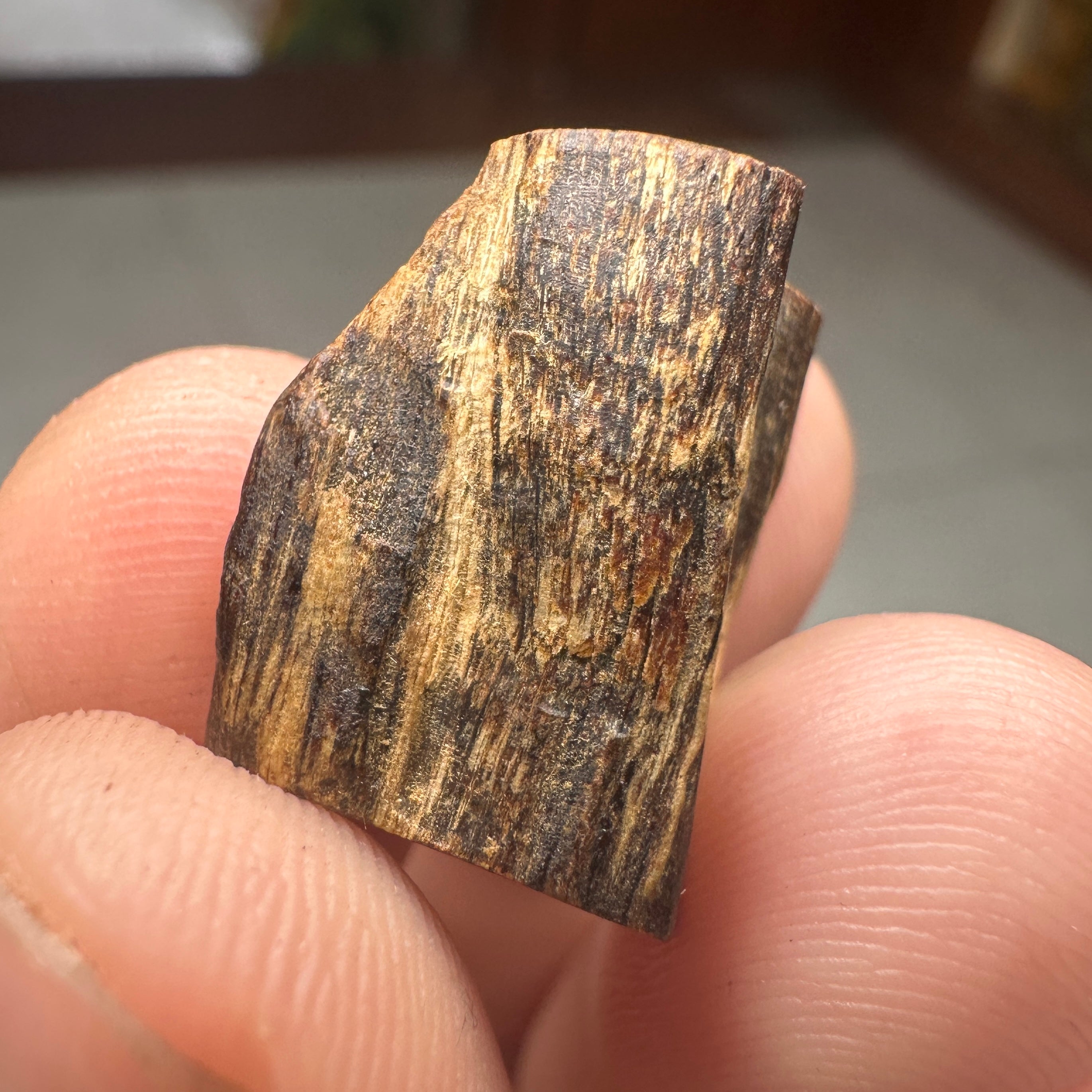 Philippins Oud Leyte VIP Quality Underwater Rarities