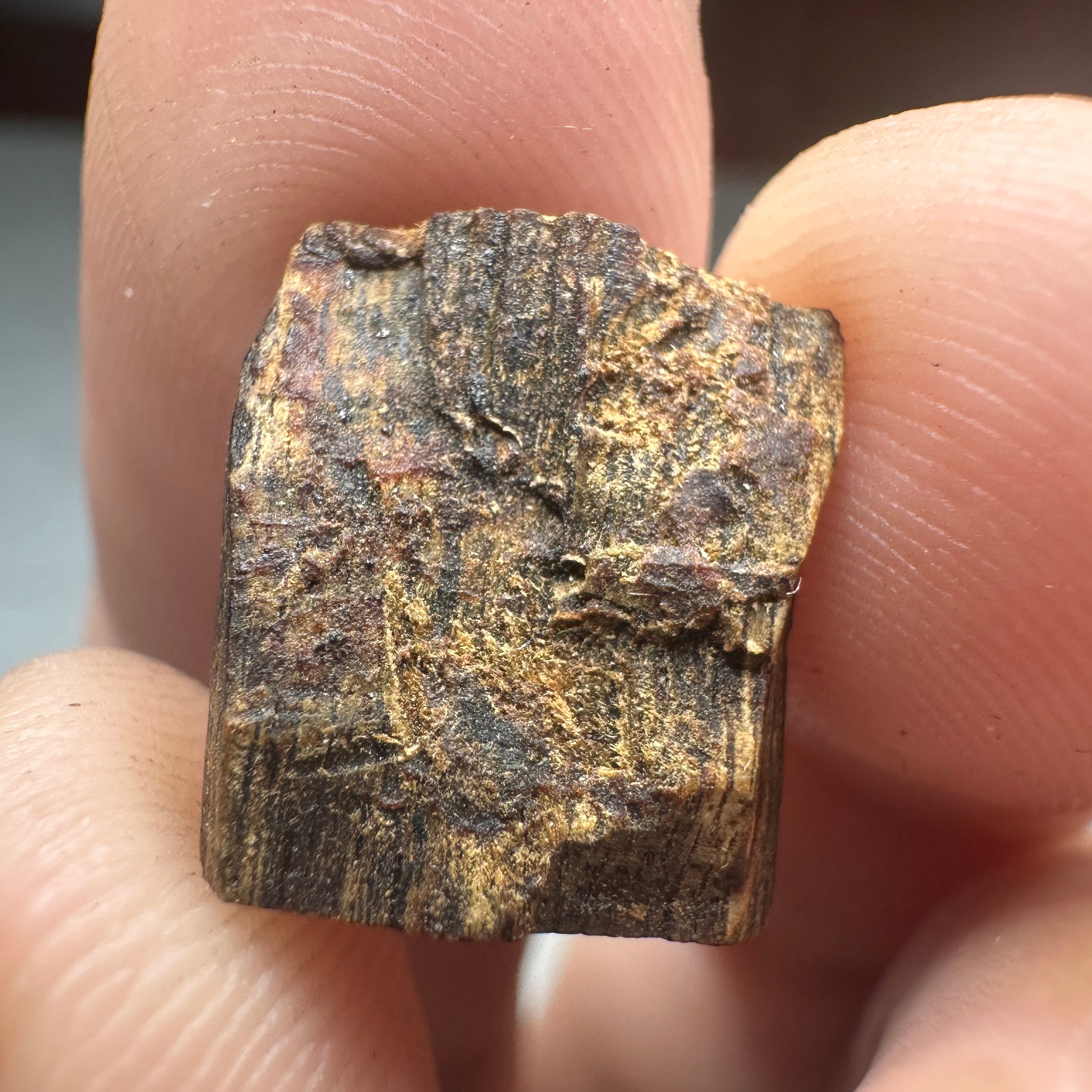 Philippins Oud Leyte VIP Quality Underwater Rarities