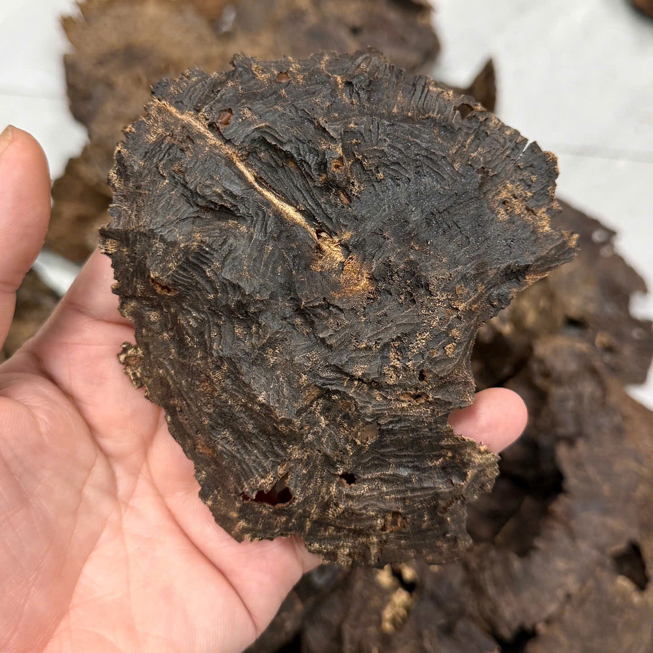 ⚡Live Flash Deal 6:00 PM 5th Dec | Combo Hainan High Quality 10 Tola (125 Grams) | Buy Now or It’s Gone! (Copy) (Copy) (Copy) (Copy) (Copy)