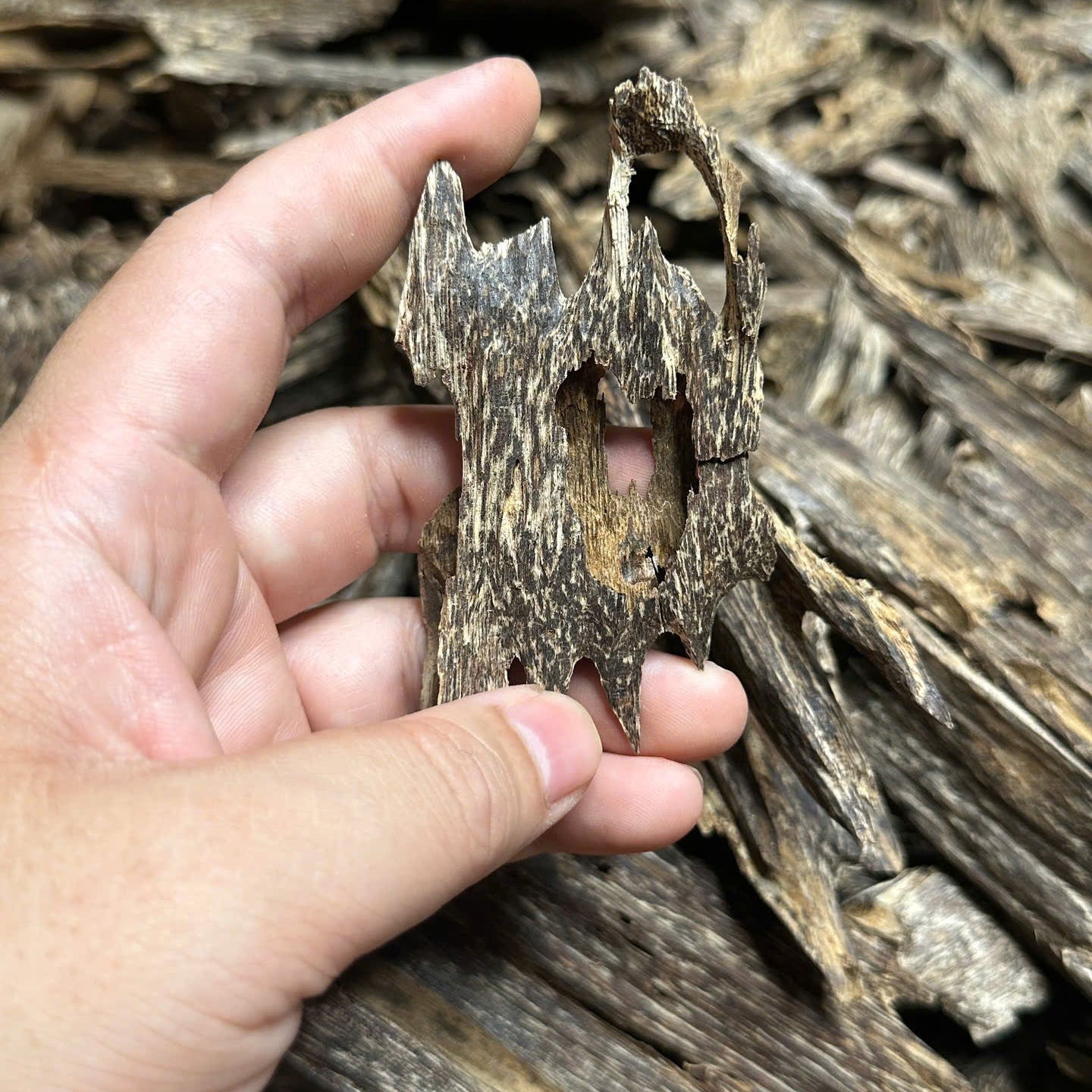 Vietnamese Oud Ant Soufi Double Super