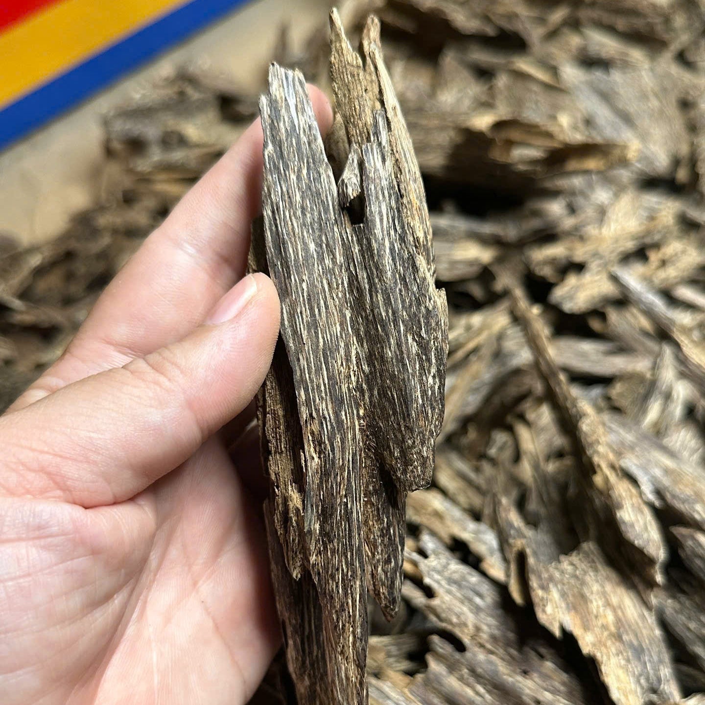 Vietnamese Oud Ant Soufi Double Super