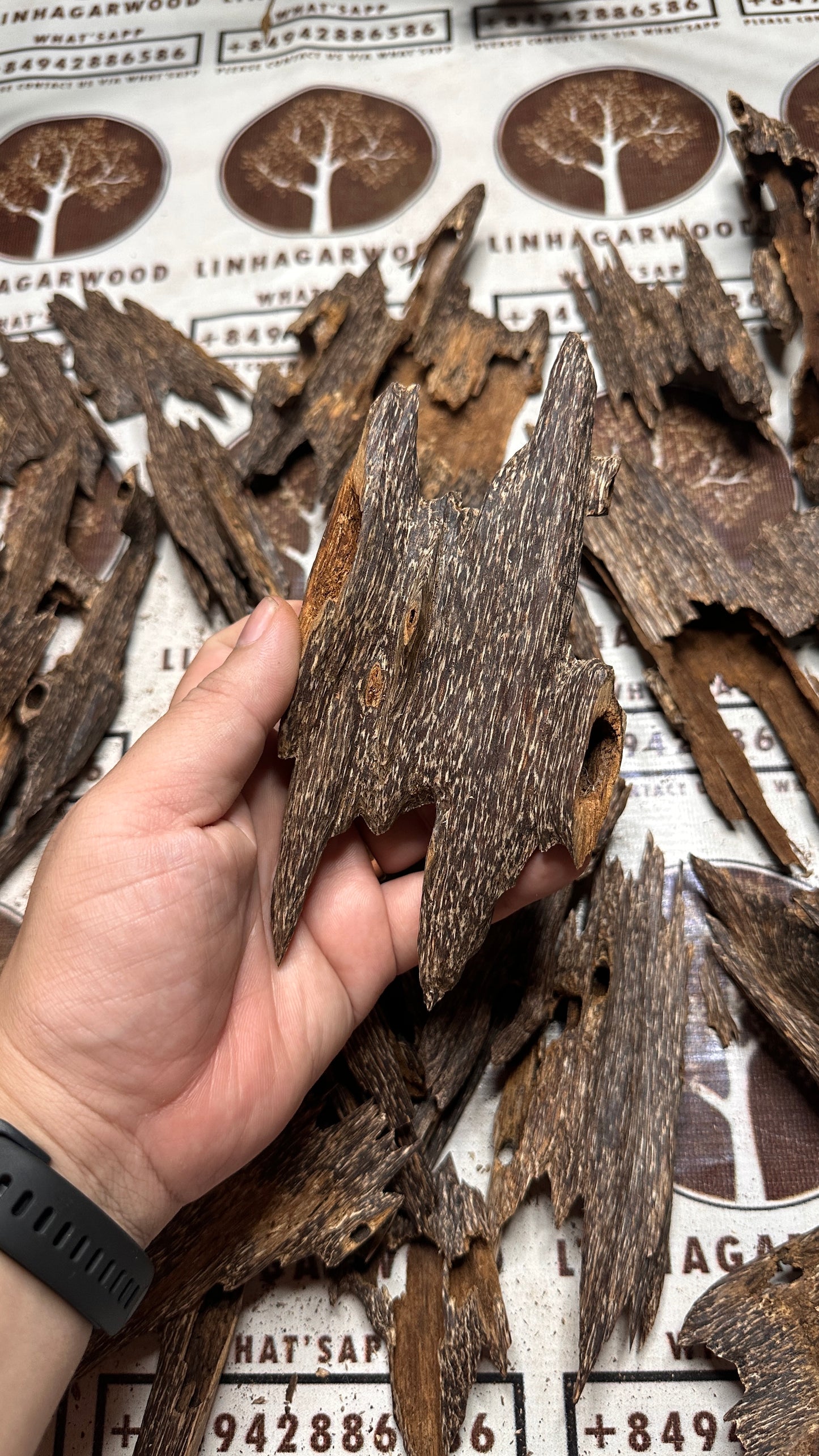 Vietnamese Oud Ant Soufi Rarities VIP Grade