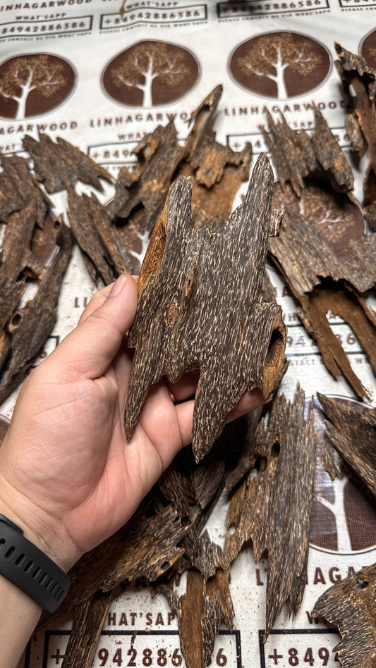 Vietnamese Oud Ant Soufi Rarities VIP Grade