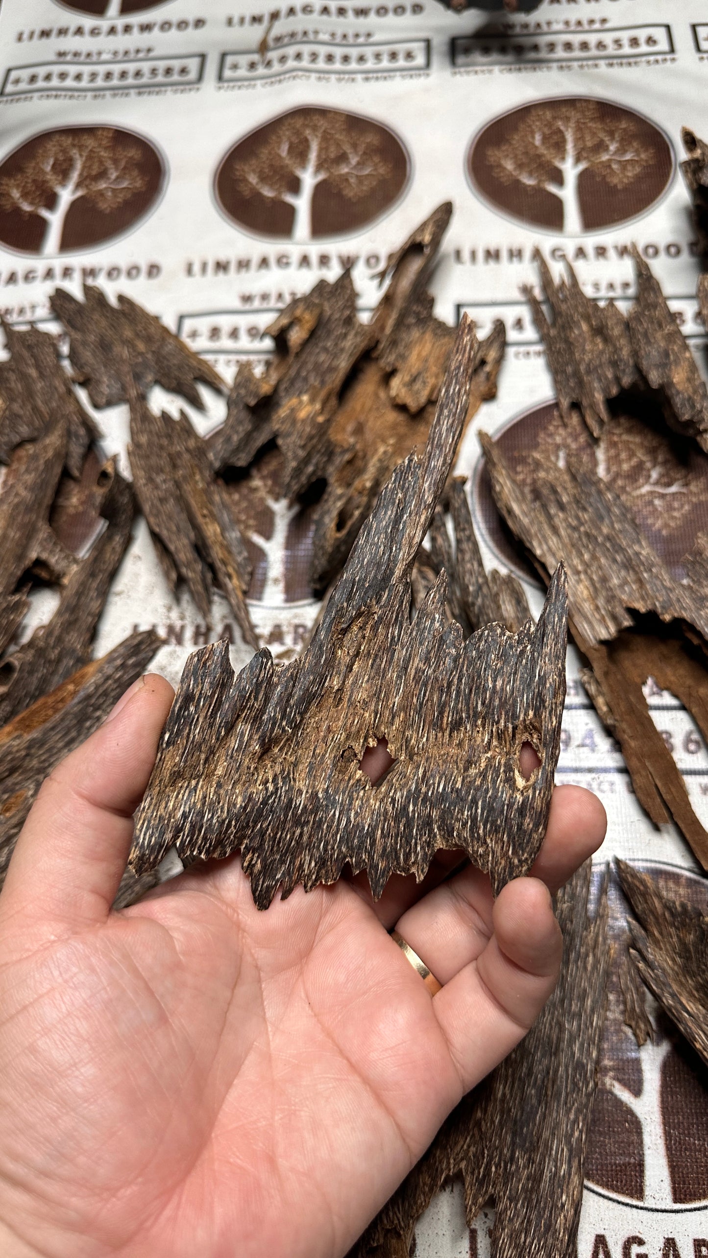 Vietnamese Oud Ant Soufi Rarities VIP Grade