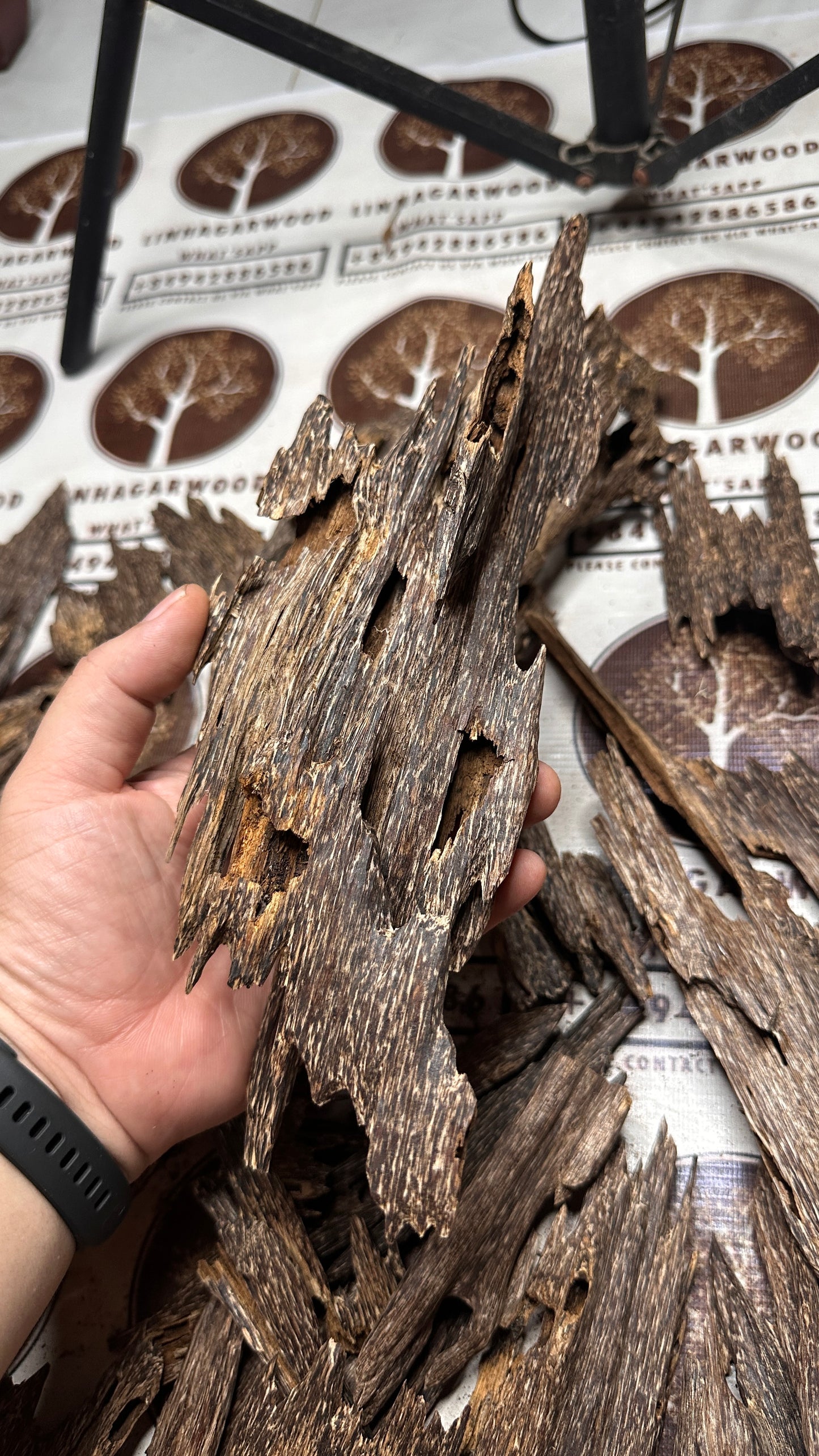 Vietnamese Oud Ant Soufi Rarities VIP Grade