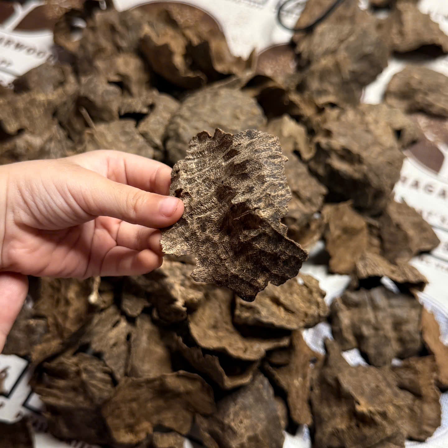 Vietnamese Oud Char Double Super Premium Grade