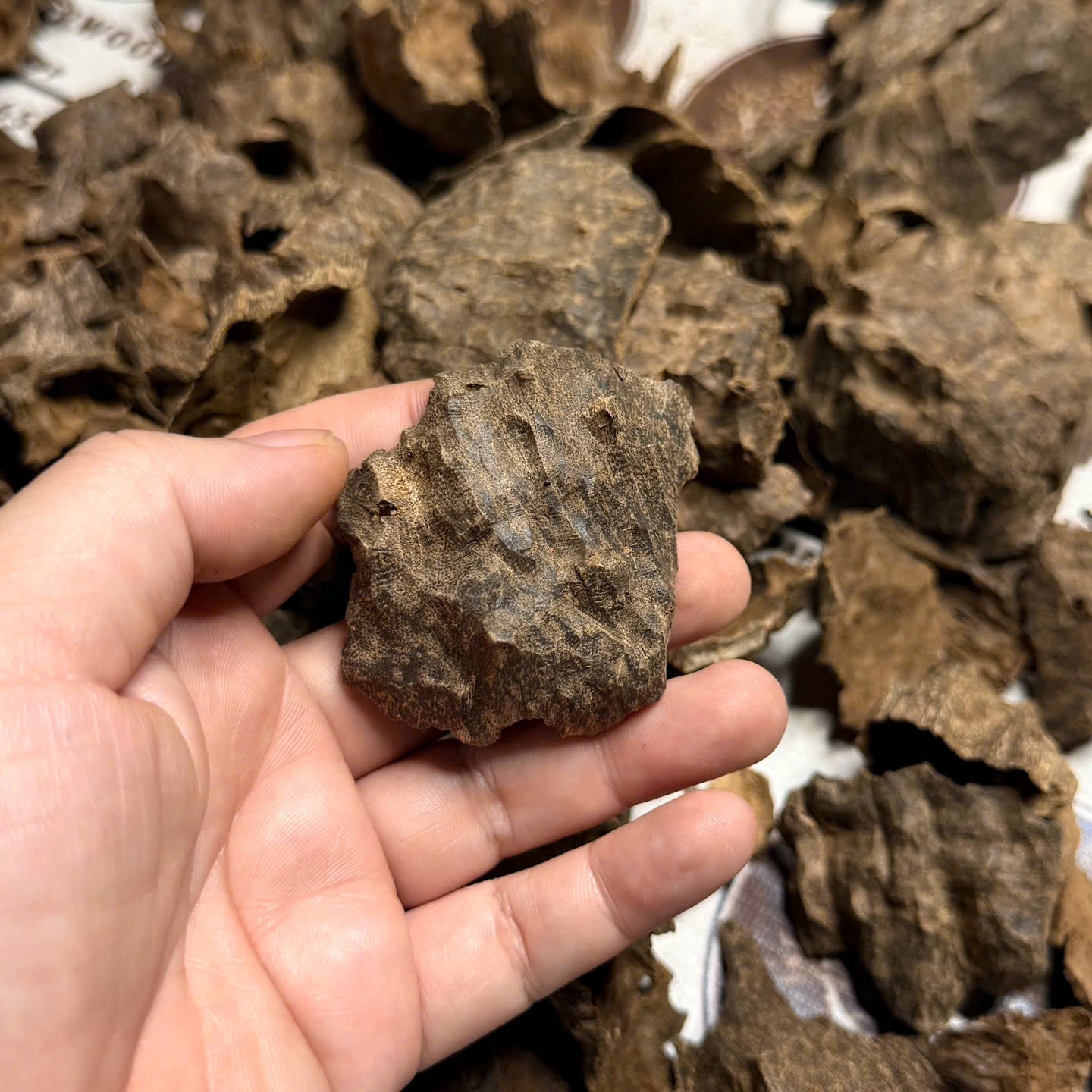 Vietnamese Oud Char Double Super Premium Grade