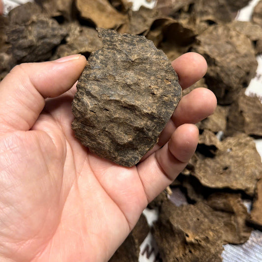 Vietnamese Oud Char Double Super Premium Grade