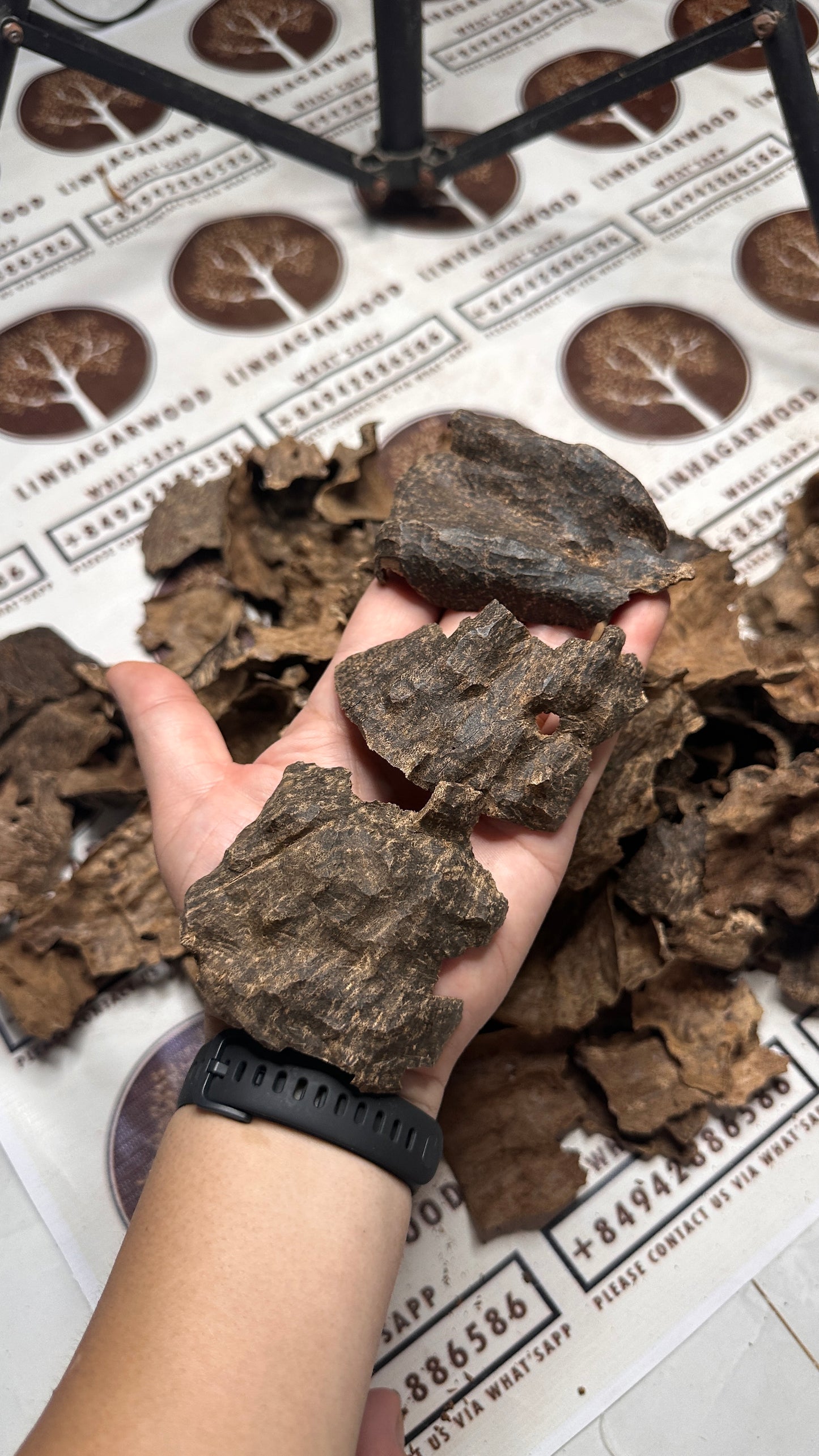 Vietnamese Oud Char Rarities High Grade