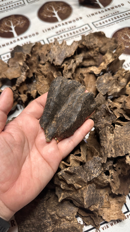 Vietnamese Oud Char Rarities High Grade