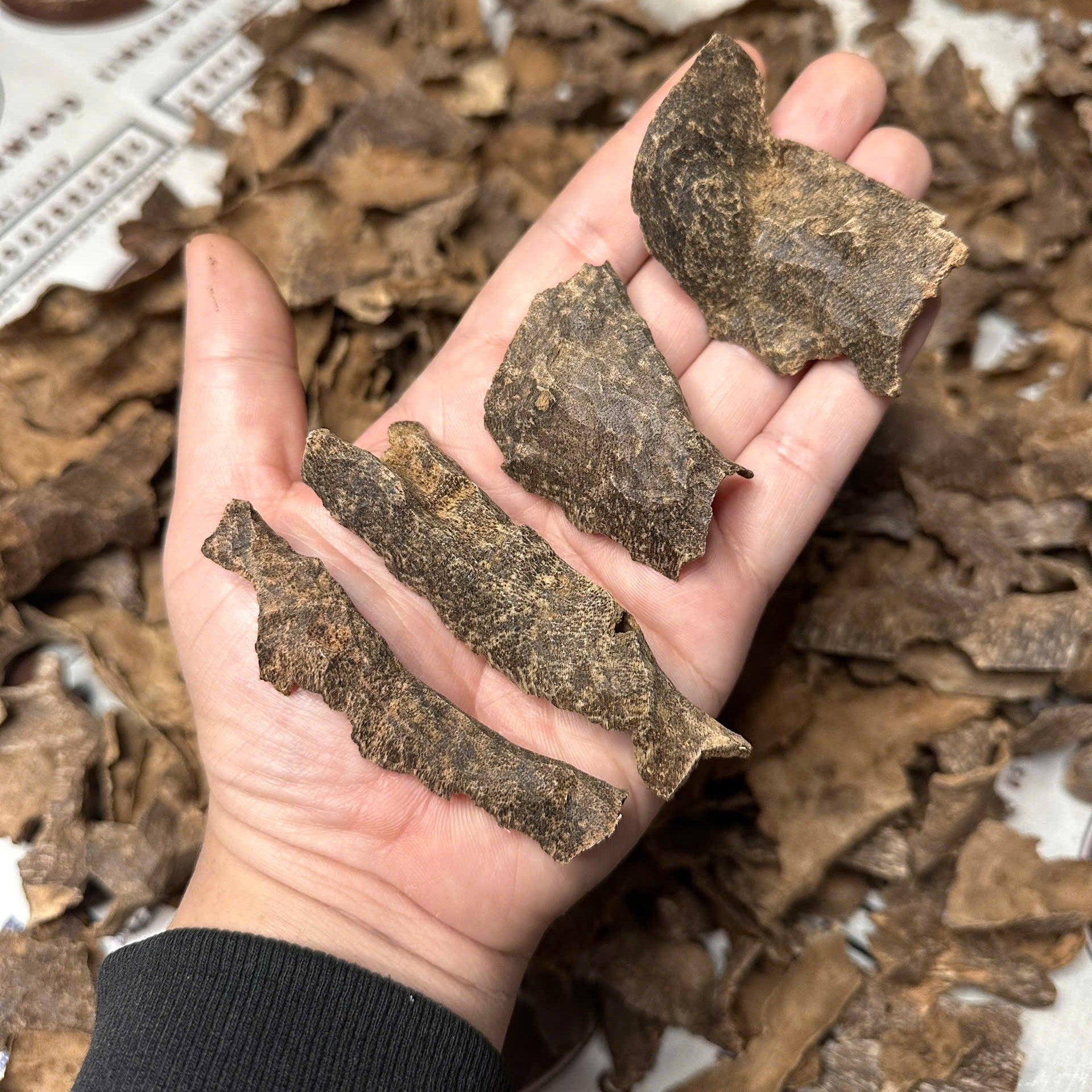 Vietnamese Oud Corner Zawaya Double Super