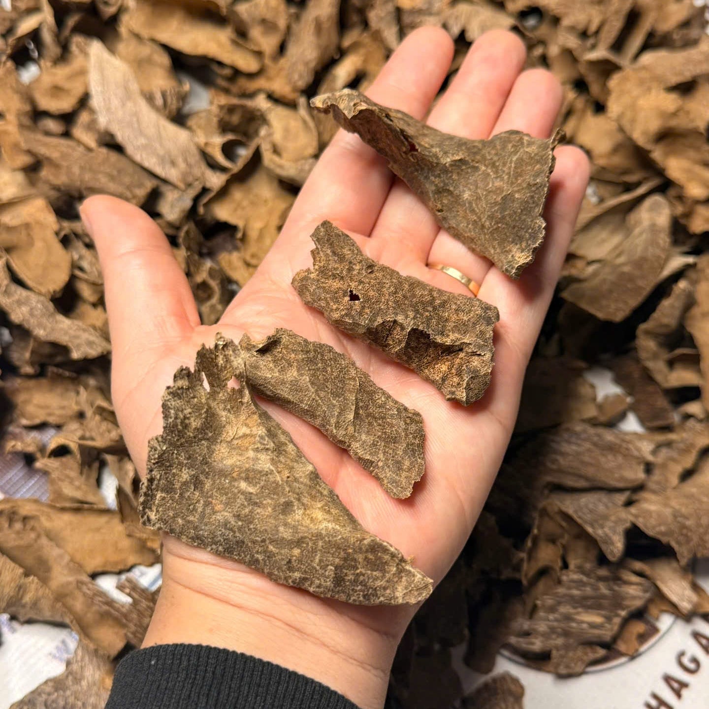 Vietnamese Oud Corner Zawaya Double Super