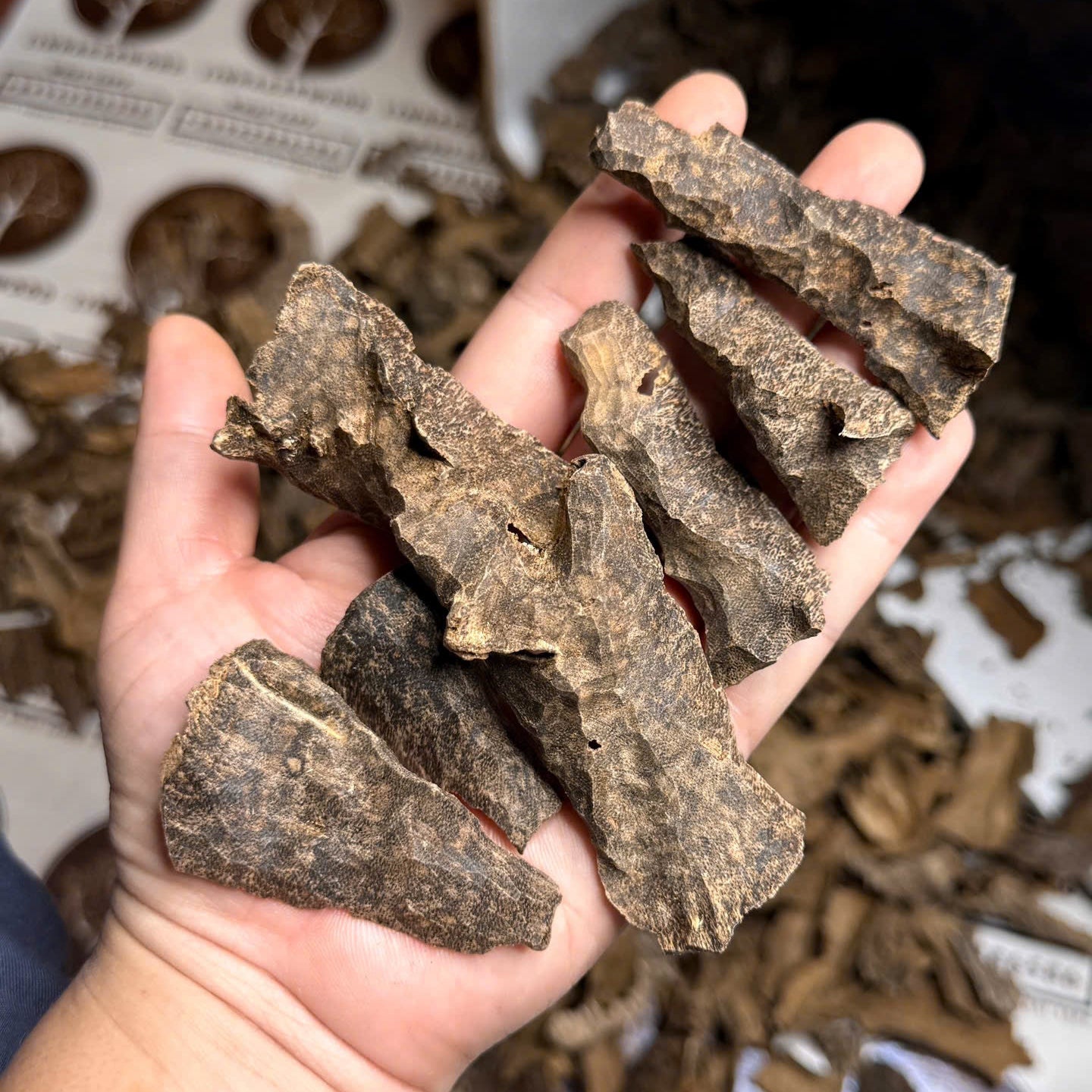 Vietnamese Oud Corner Zawaya Triple Super Grade Premium Dark Resin Aroma