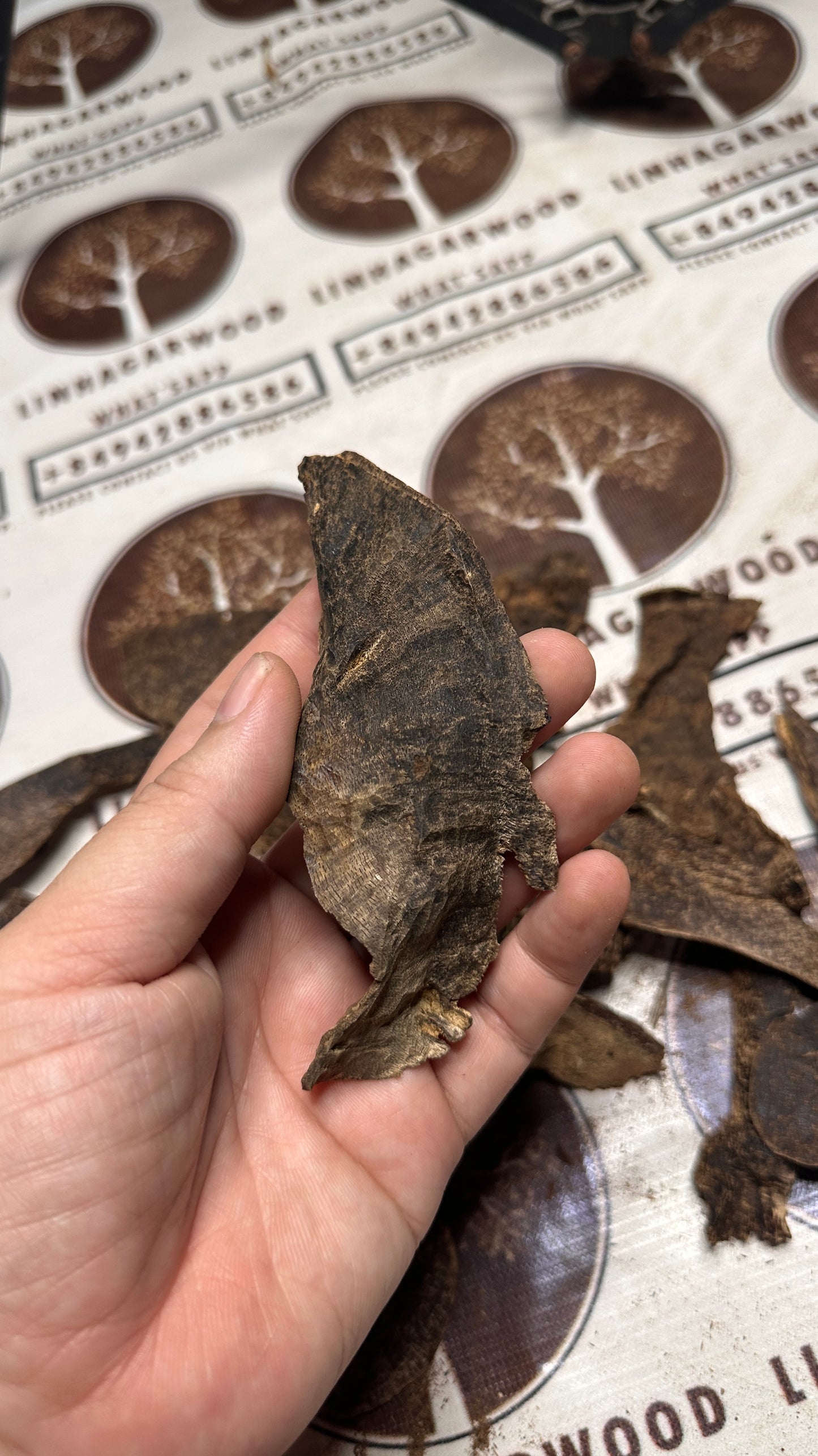 Vietnamese Oud Forest Rarities High Grade