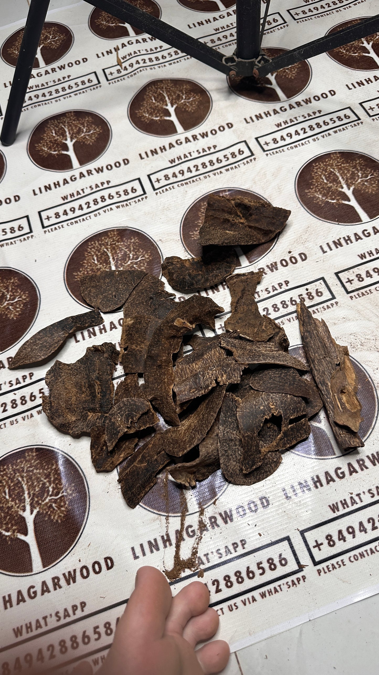 Vietnamese Oud Forest Rarities High Grade
