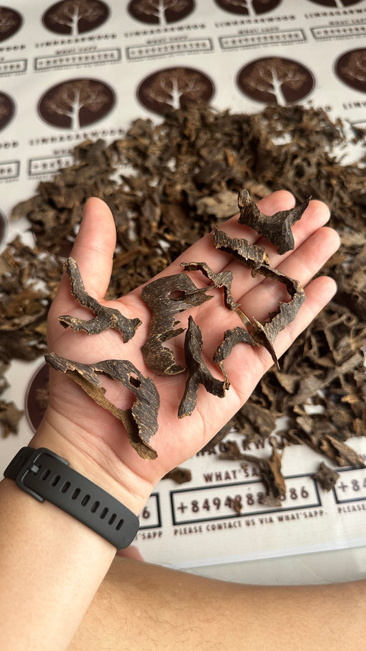 Vietnamese Oud Muri Rarities VIP Collection