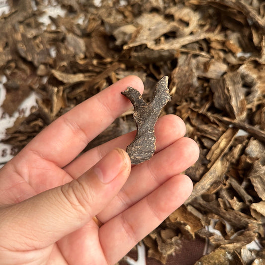 Vietnamese Oud Muri Rarities VIP Collection