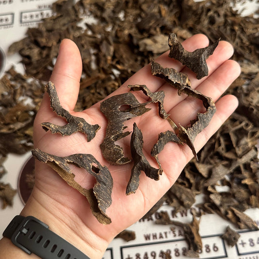 Vietnamese Oud Muri Rarities VIP Collection